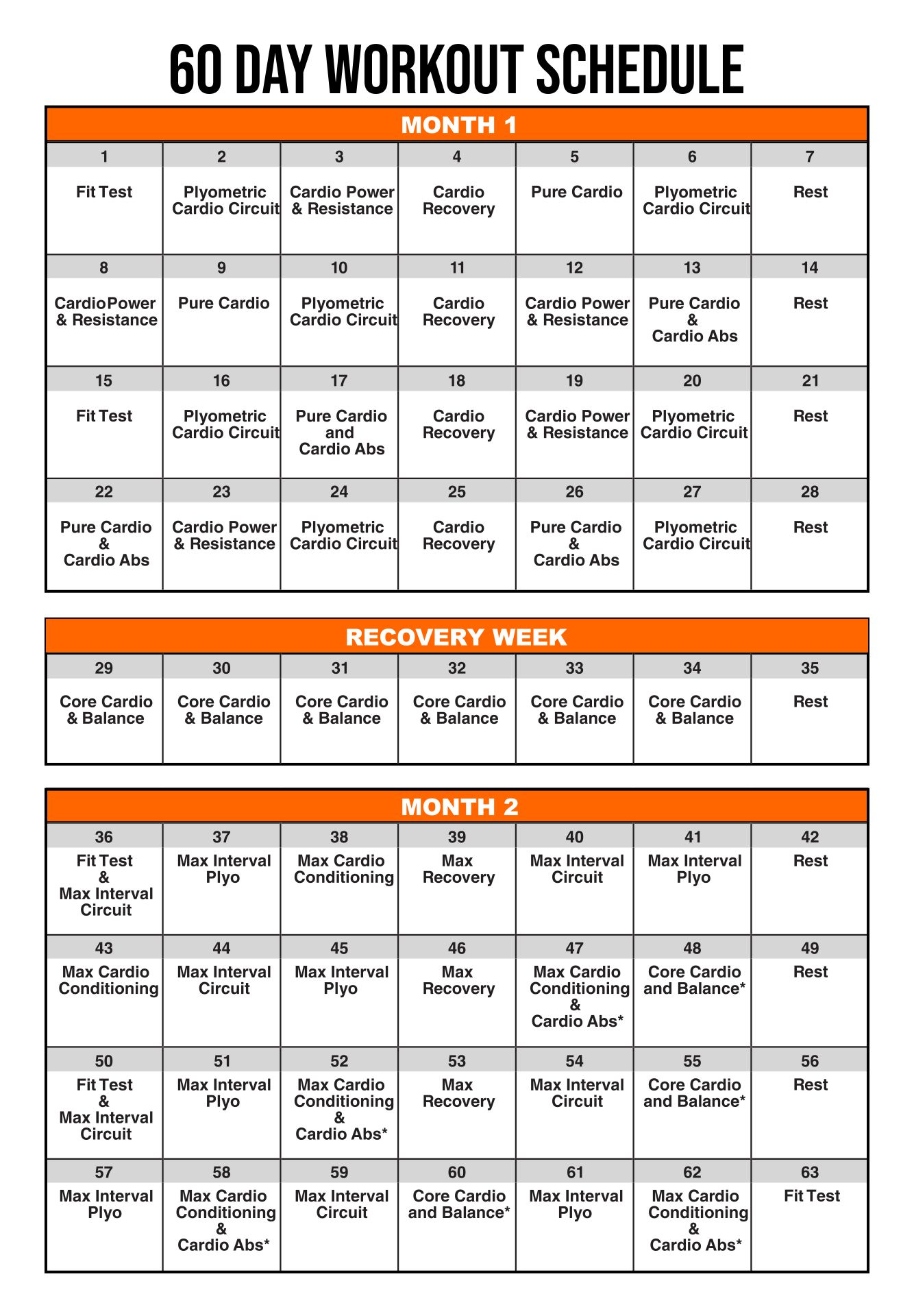 Printable Insanity Workout Schedule