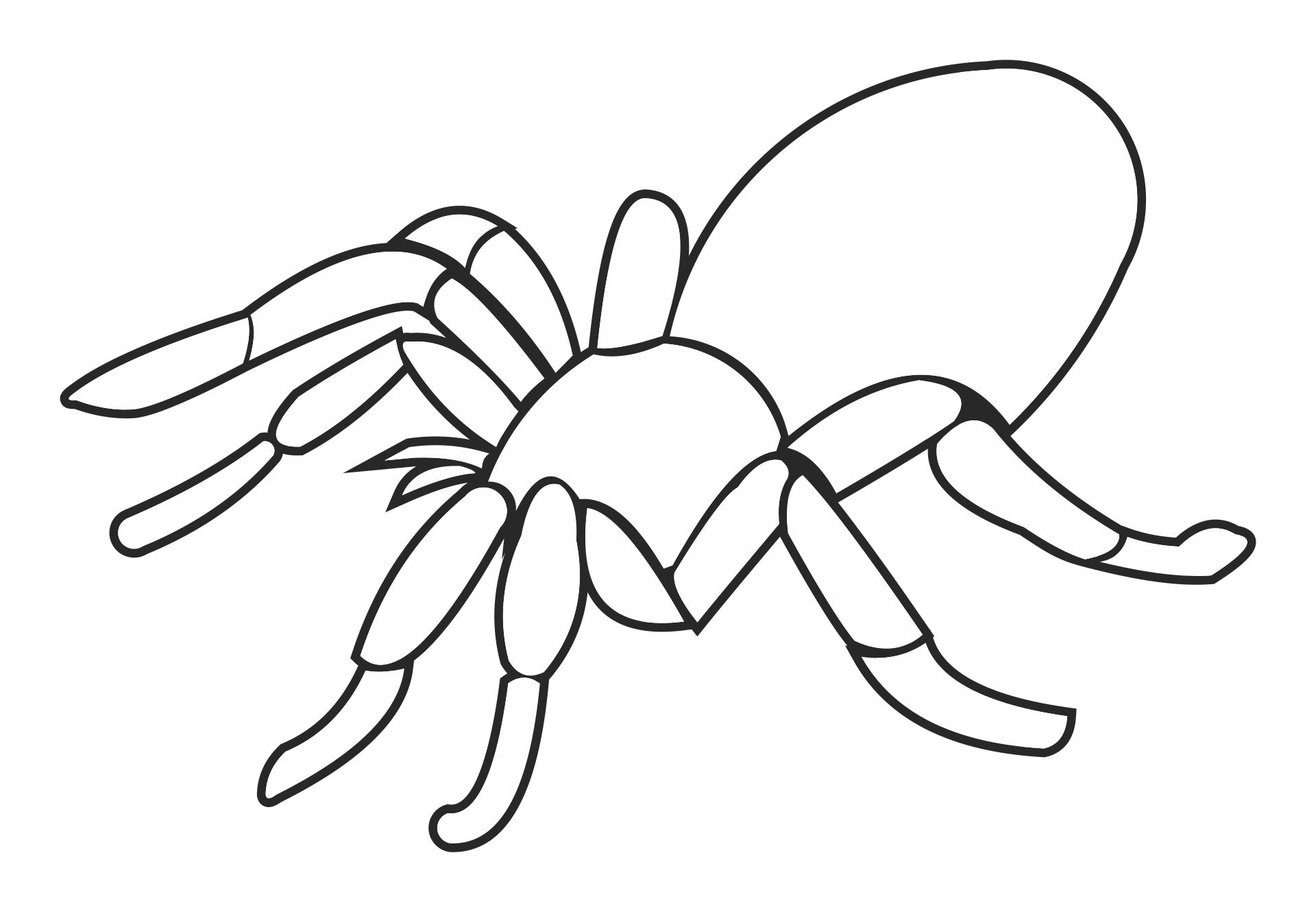 Printable Coloring Pages Of Spiders