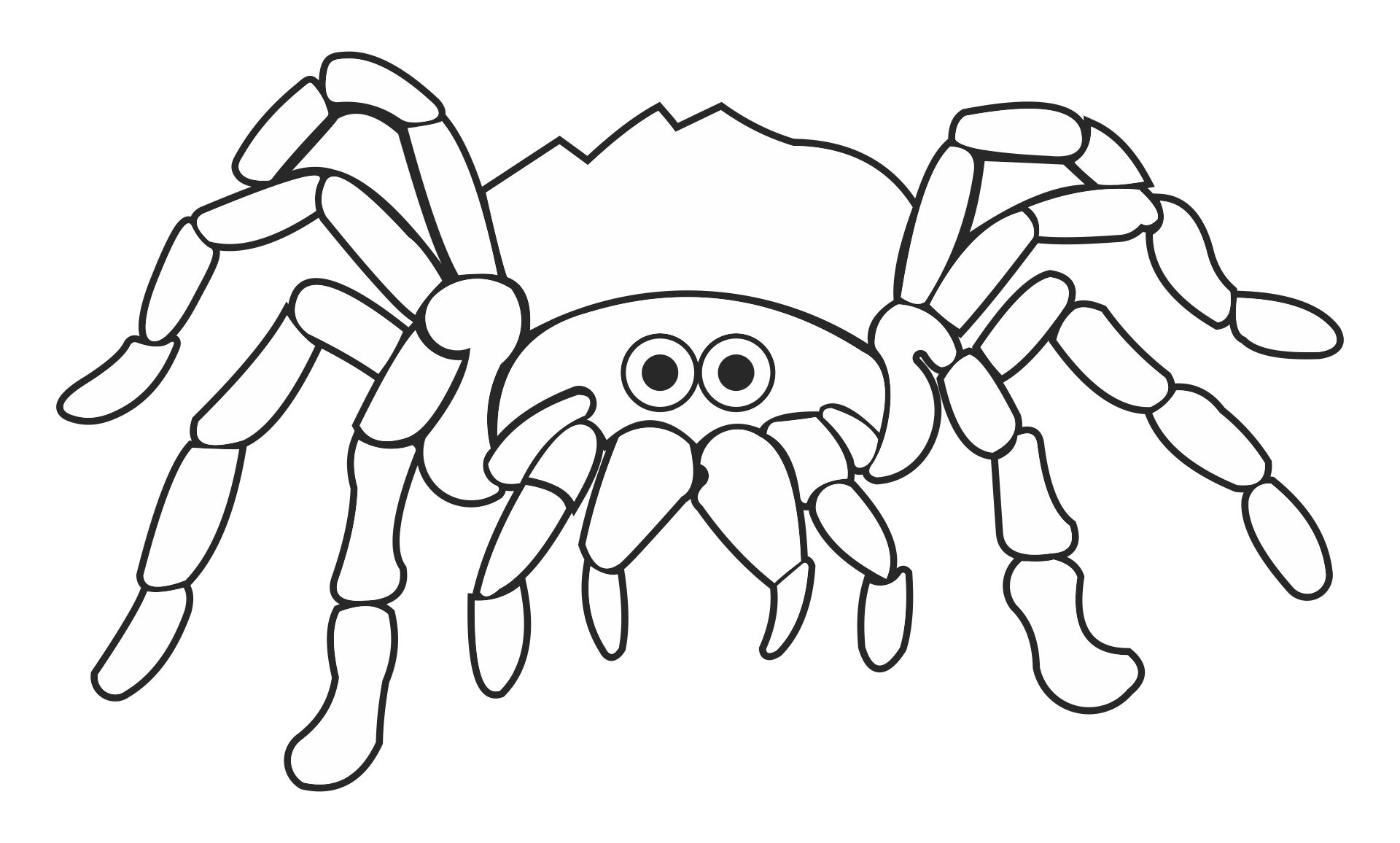 Spider Coloring Pages For Adults