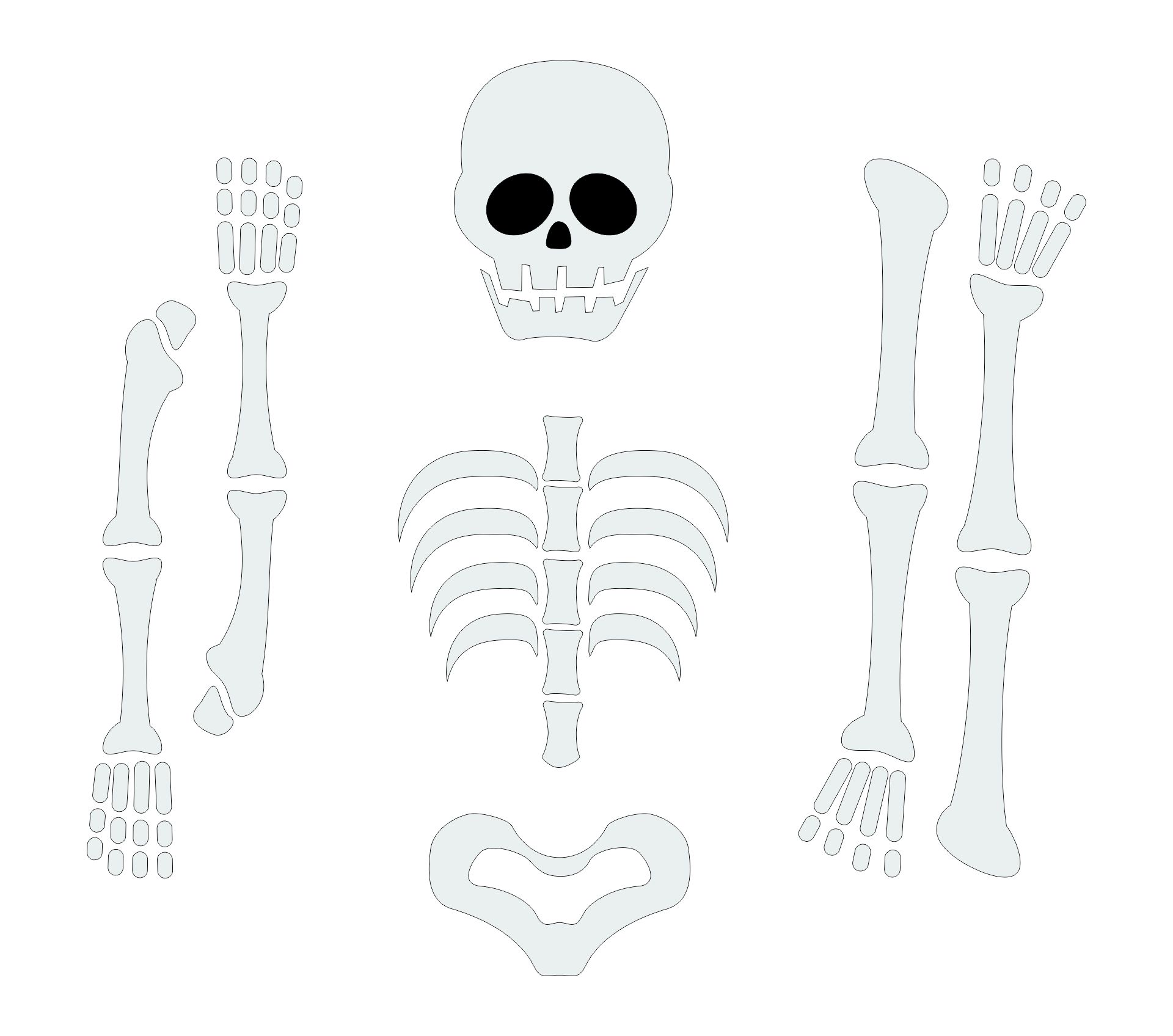 Assemble A Skeleton Printable