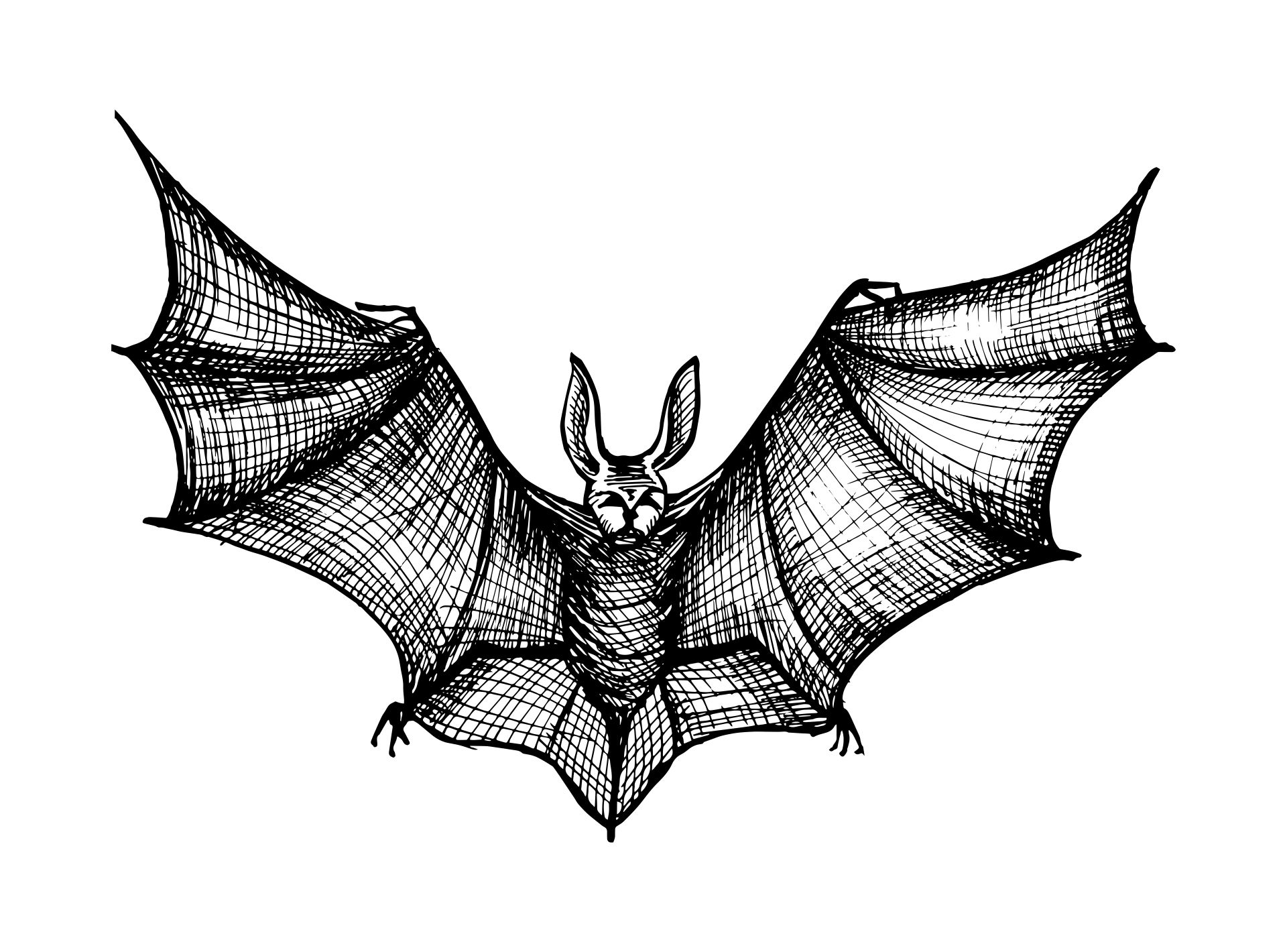 Free Vintage Vampire Bat Clip Art