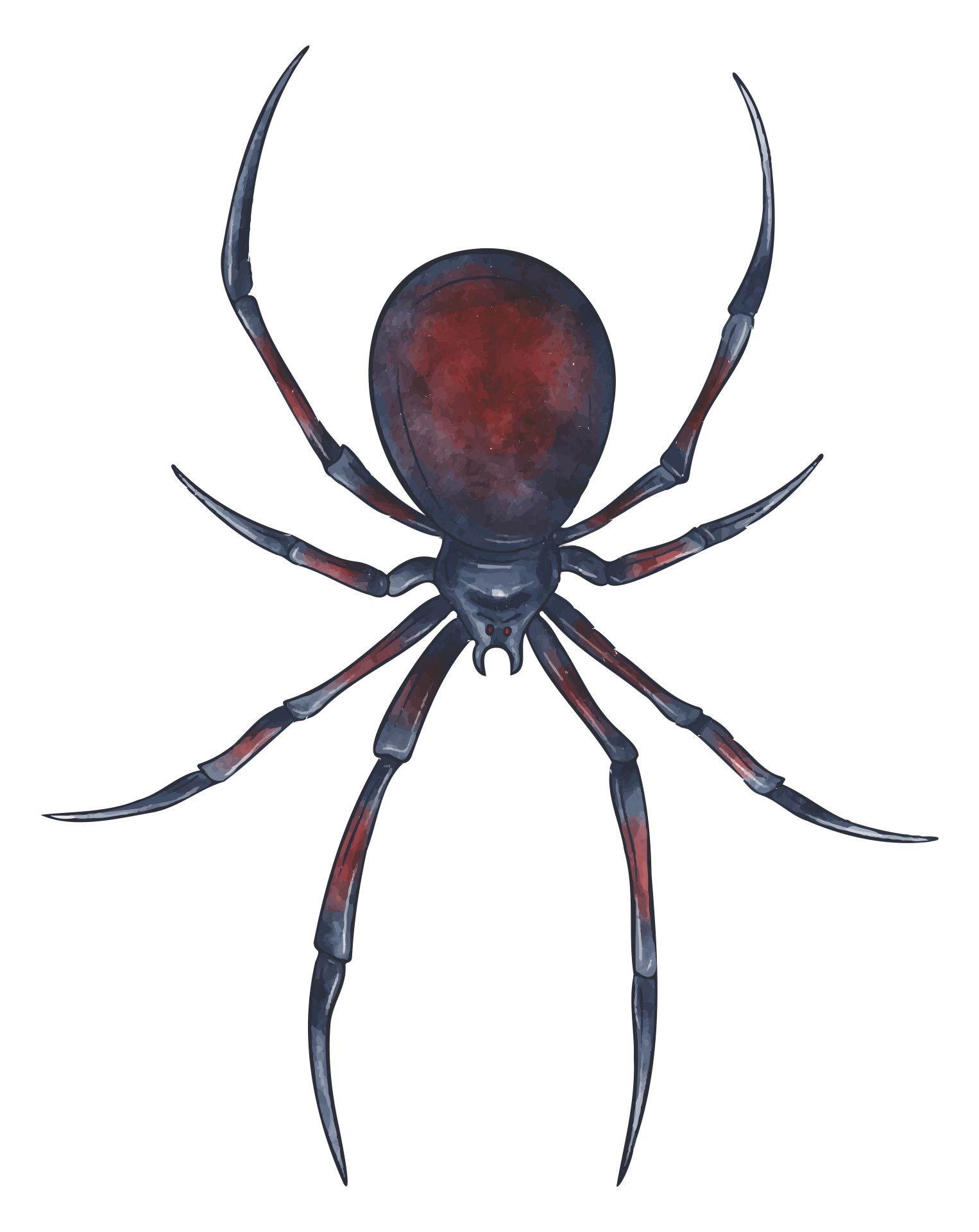 Giant Spiders For Halloween Decorations