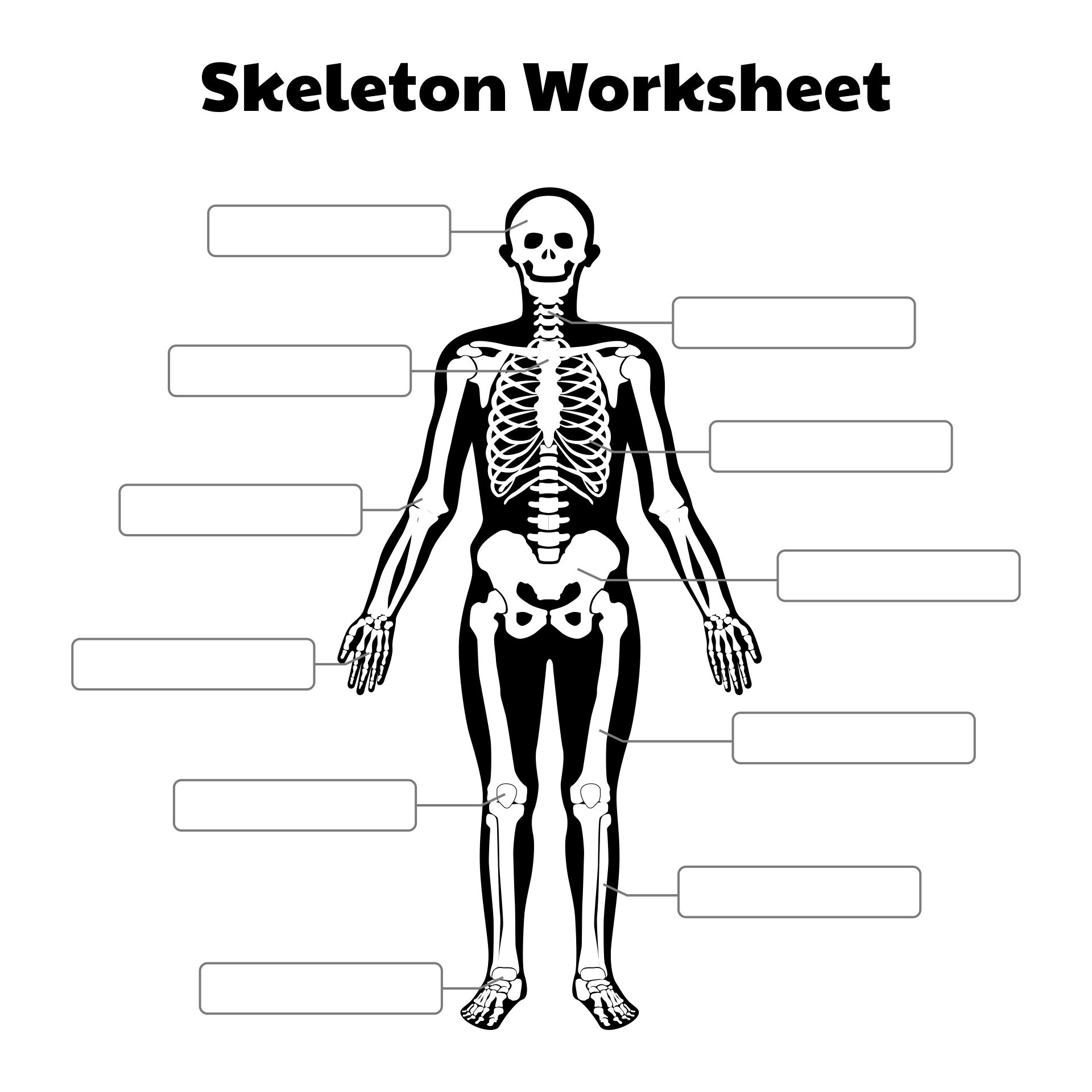 Free Printable Skeleton Worksheet