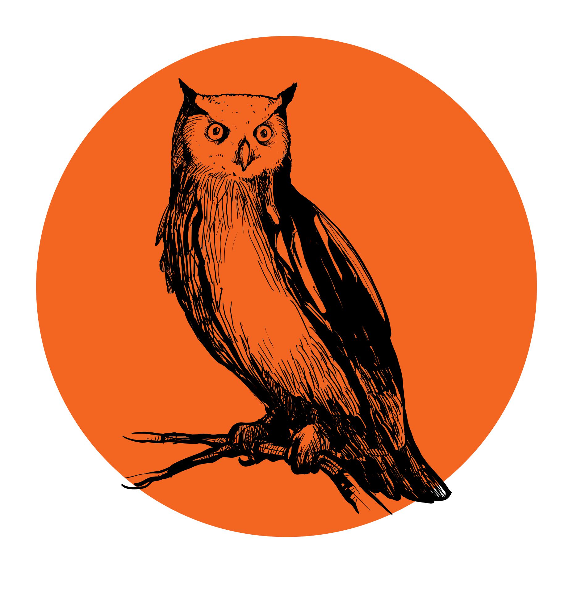 Vintage Halloween Owl Moon Spooky Art Decor Image Digital