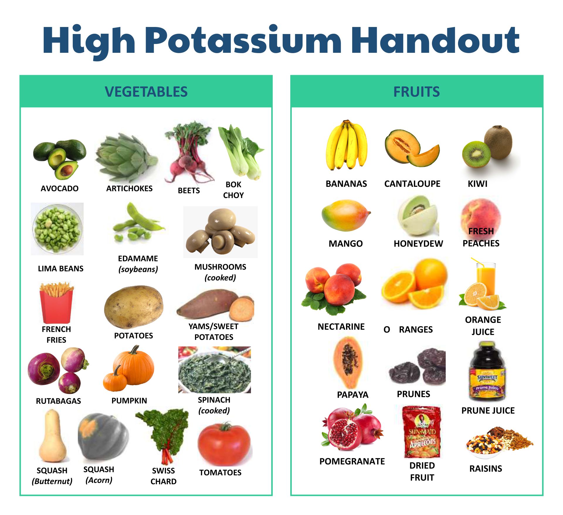High Potassium Handout Printable
