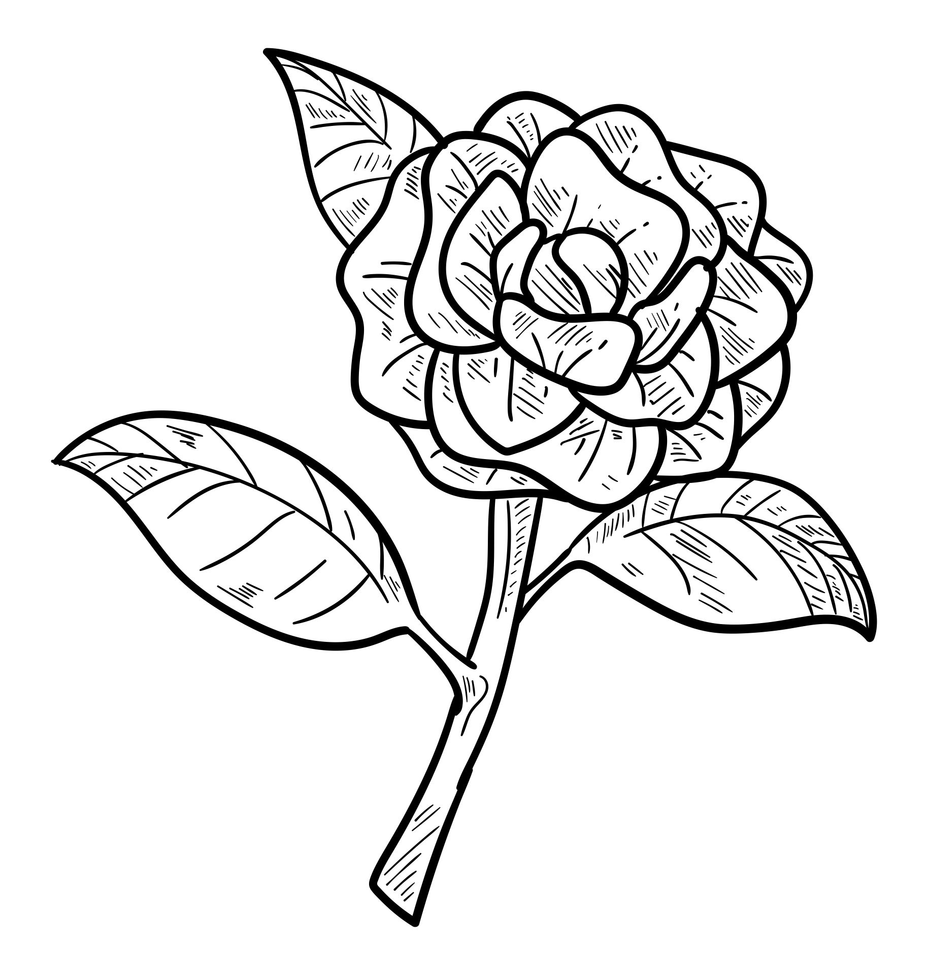 Large Printable Flower Template Coloring Page