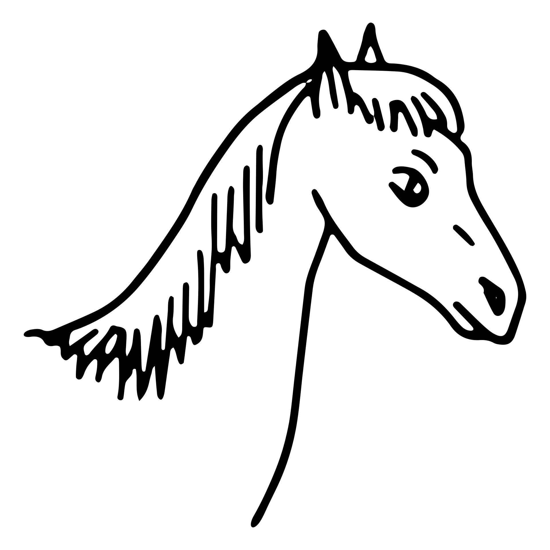 Printable Horse Head Coloring Pages