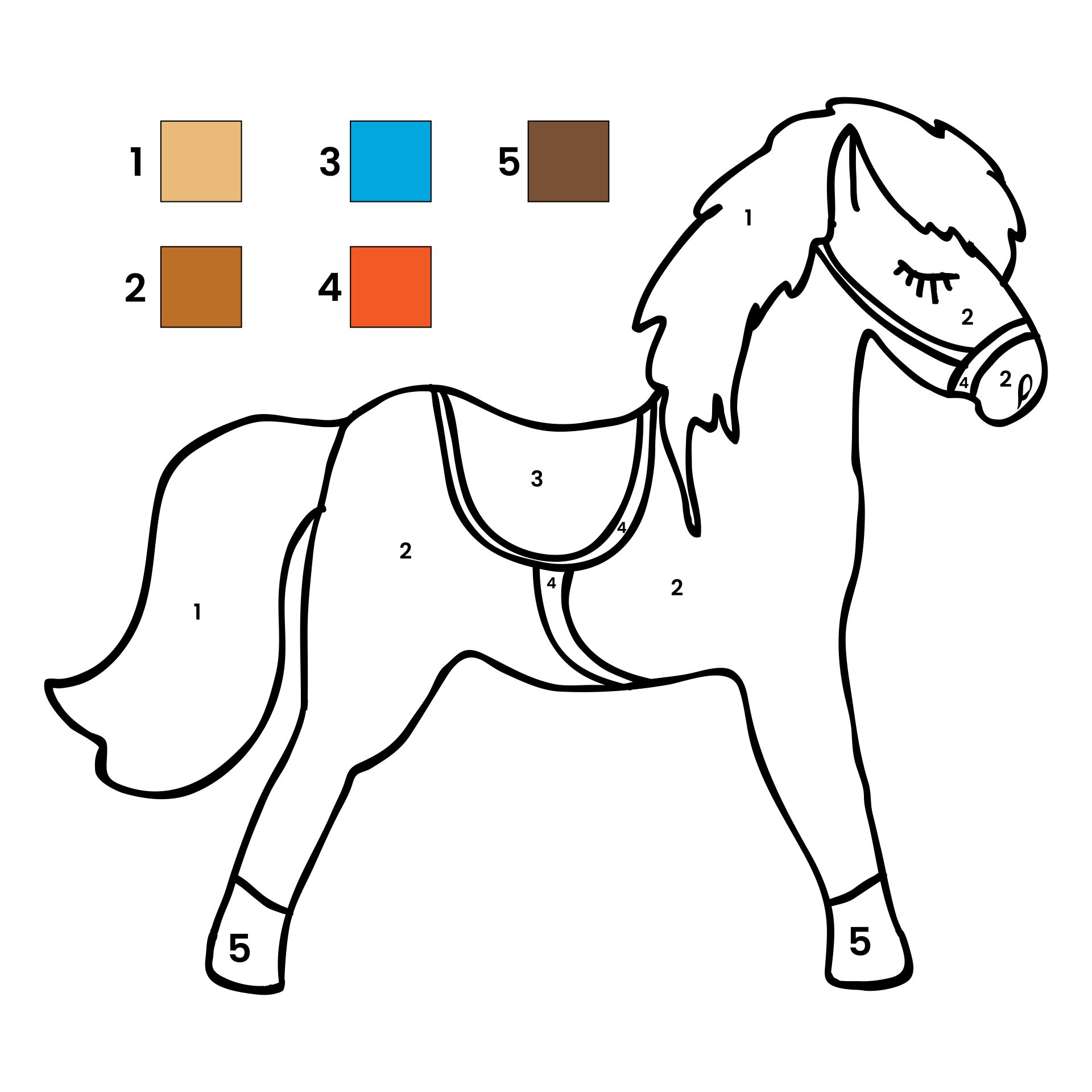 Color By Number Horse Sheet