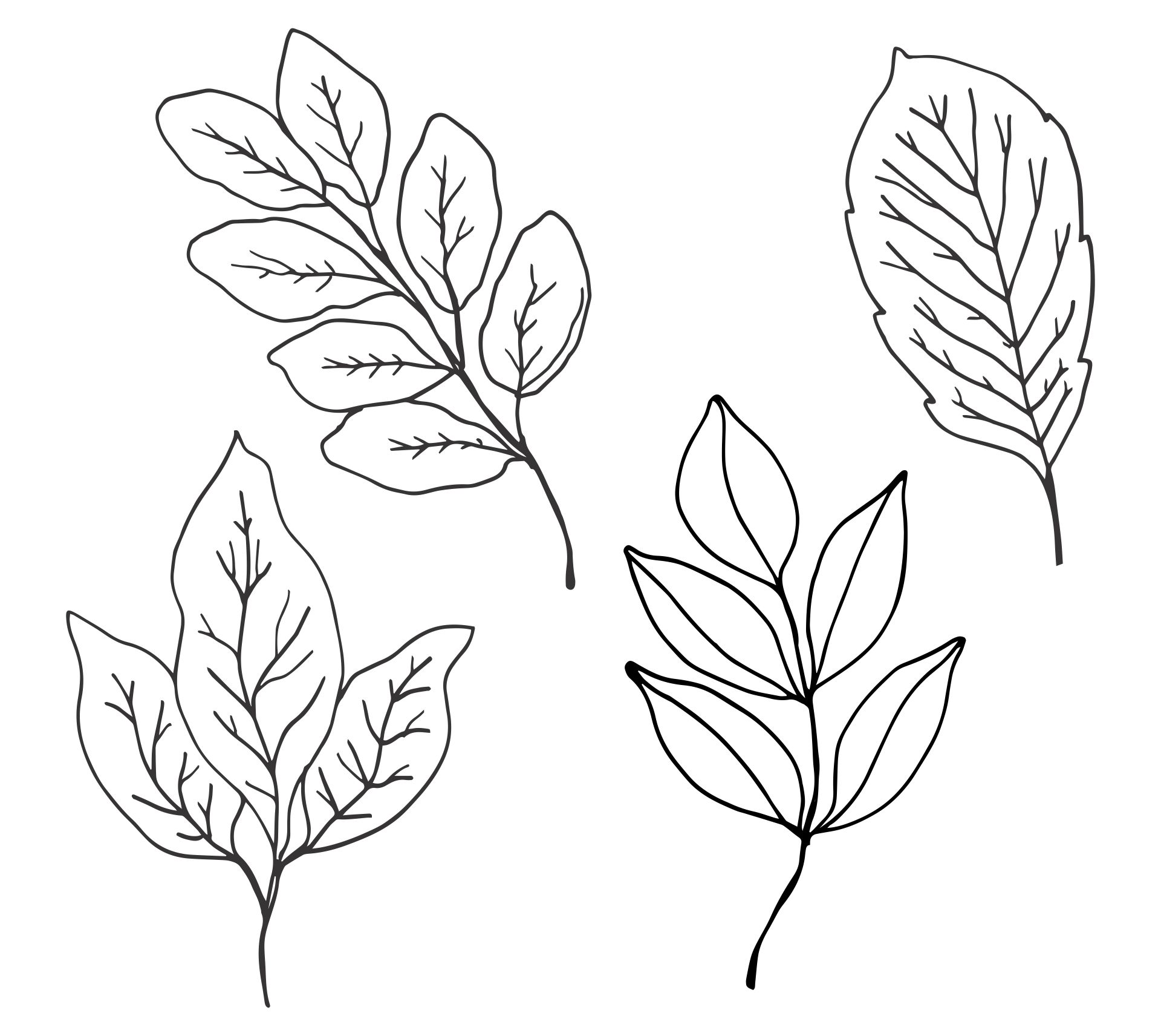 Printable Jungle Leaf Pattern Template