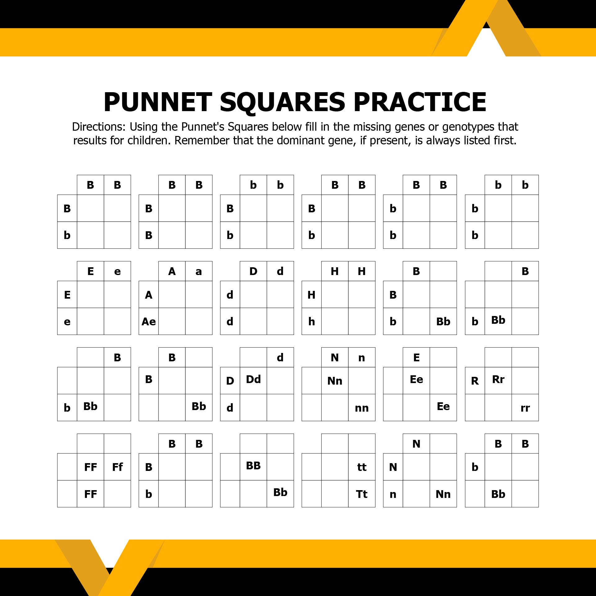Printable Fun Punnett Square Worksheets
