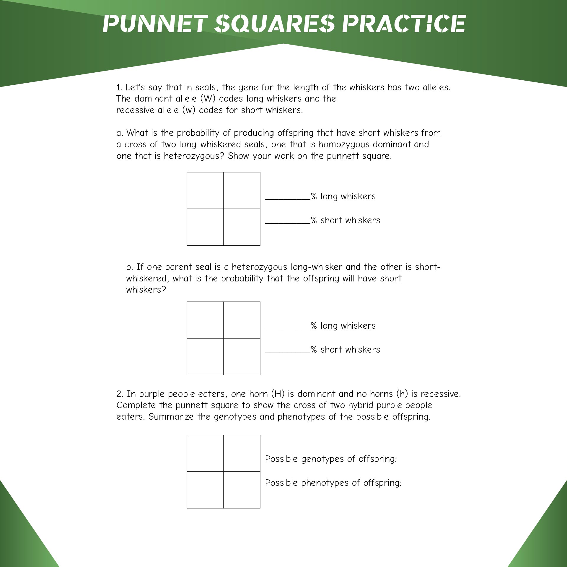 Printable Punnett Square Worksheets For High School