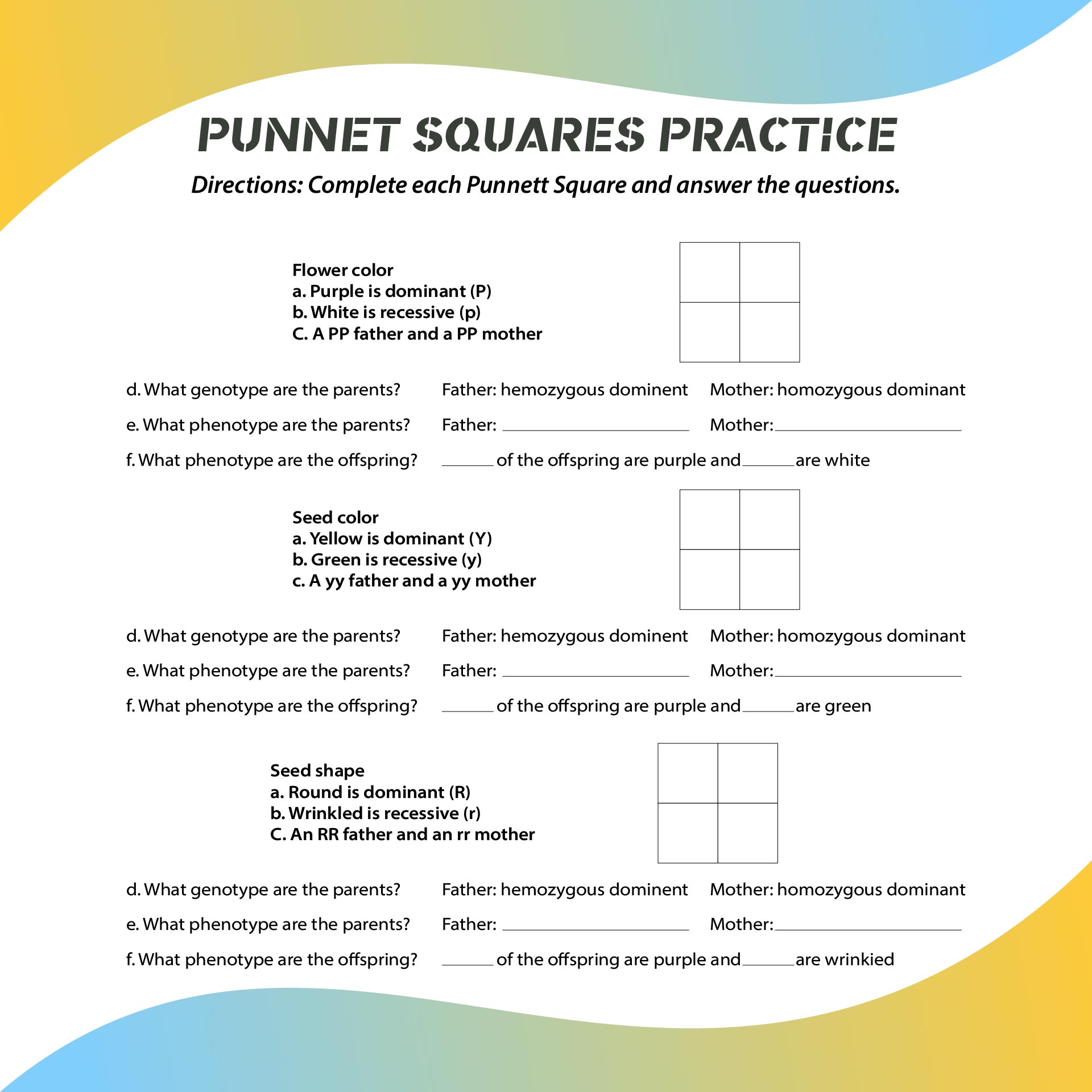 Printable Punnett Square Worksheets Middle School