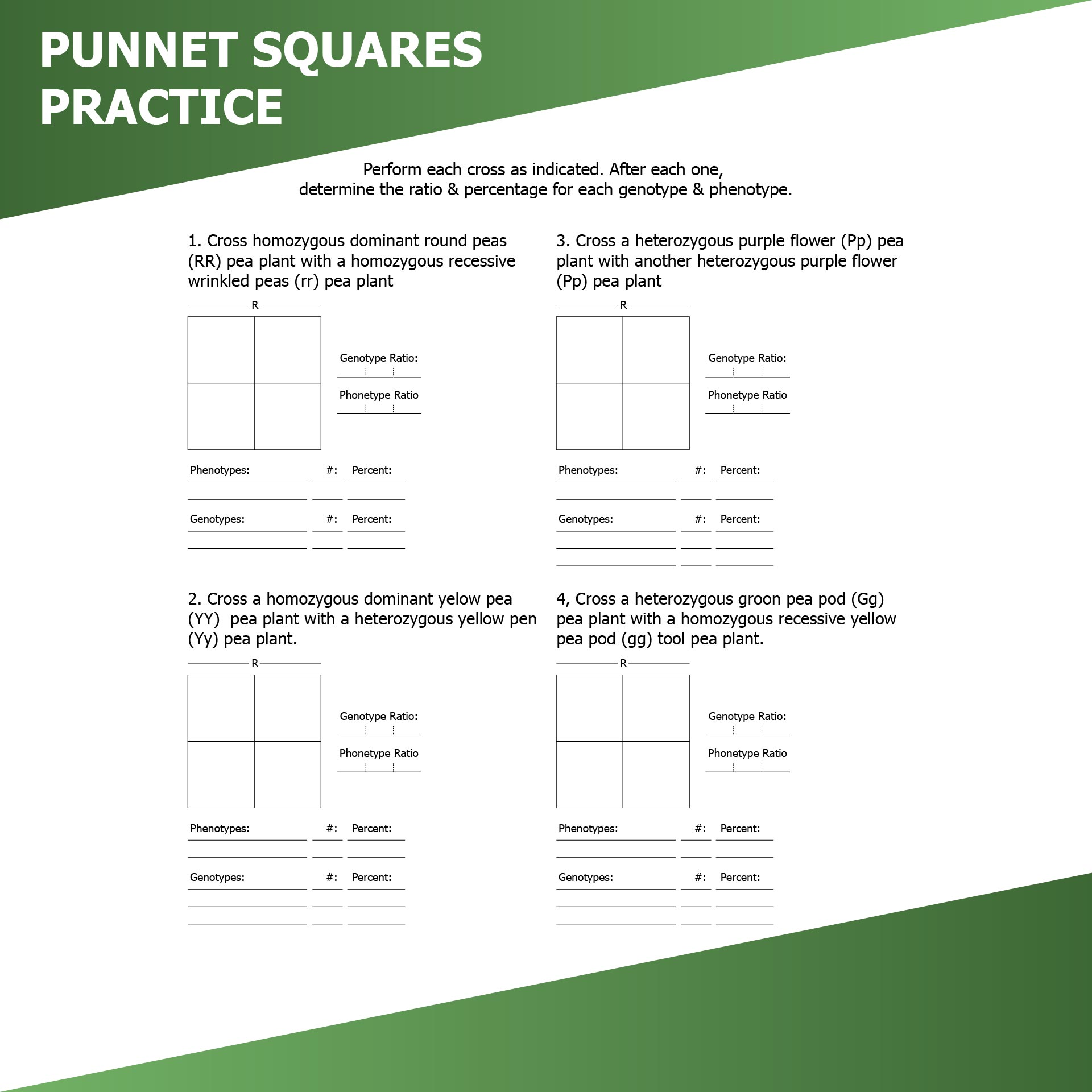 Printable Science Punnett Square Worksheets