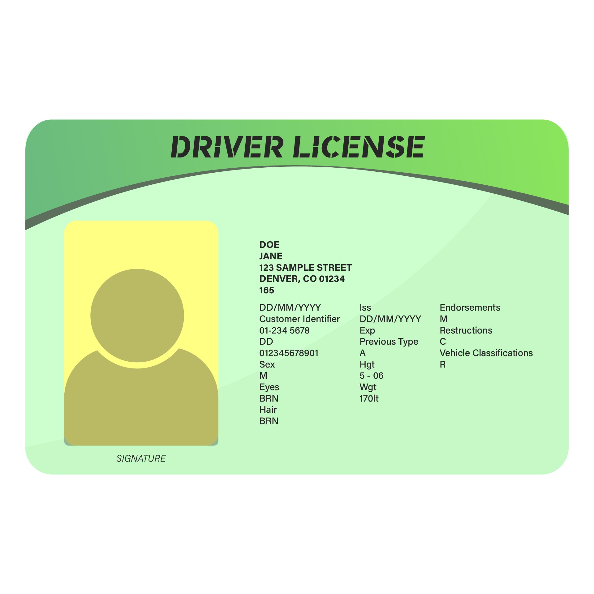 Drivers License Template 