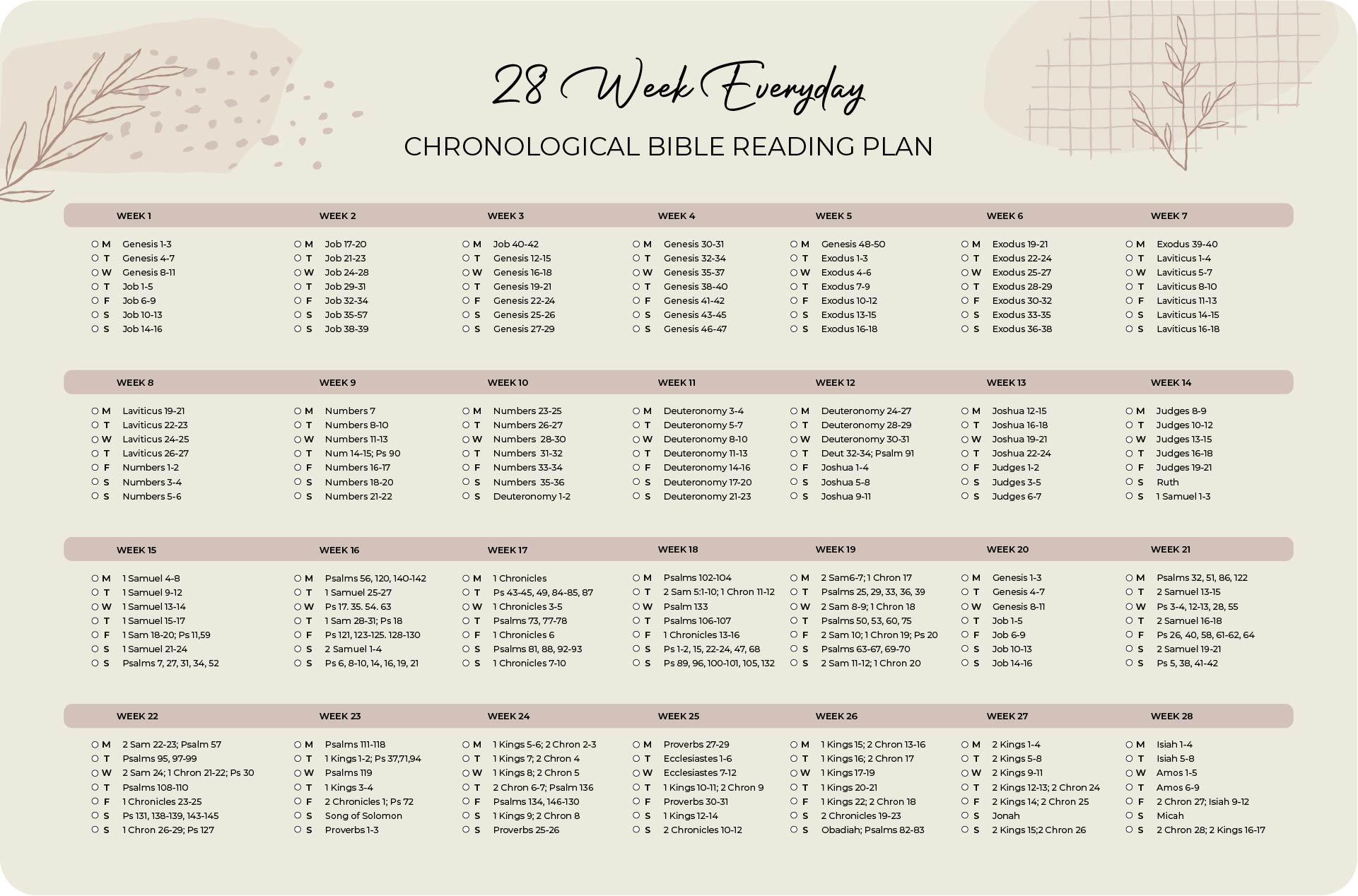 Printable Chronological Bible Reading Plan