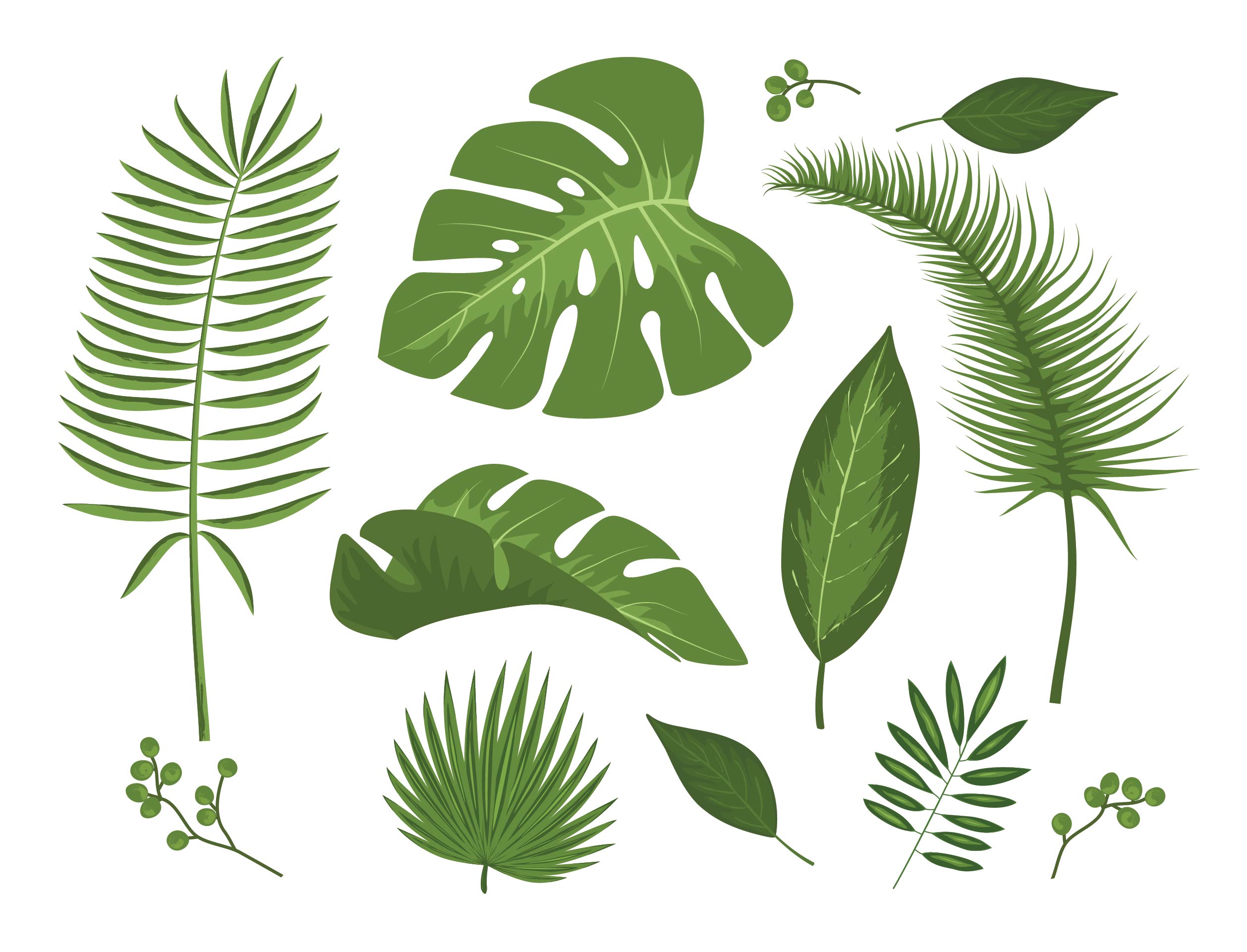 Printable Amazon Rainforest Leaf Template