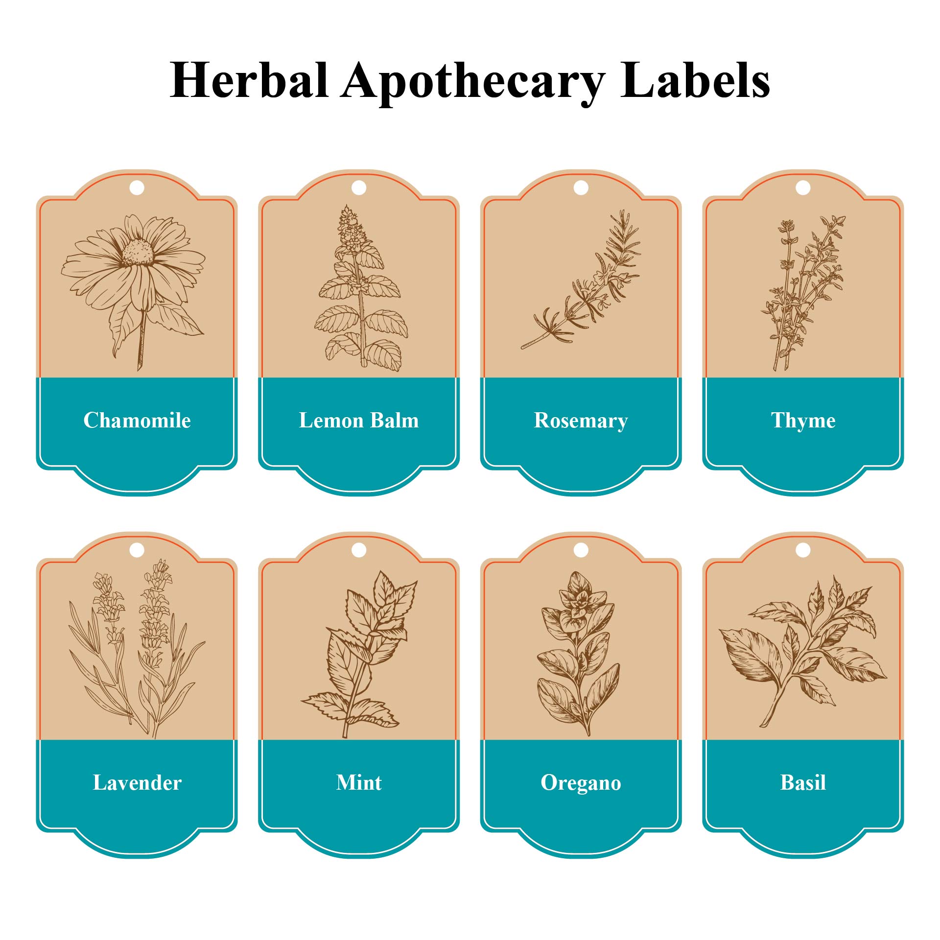 Printable Herb And Spice Apothecary Labels