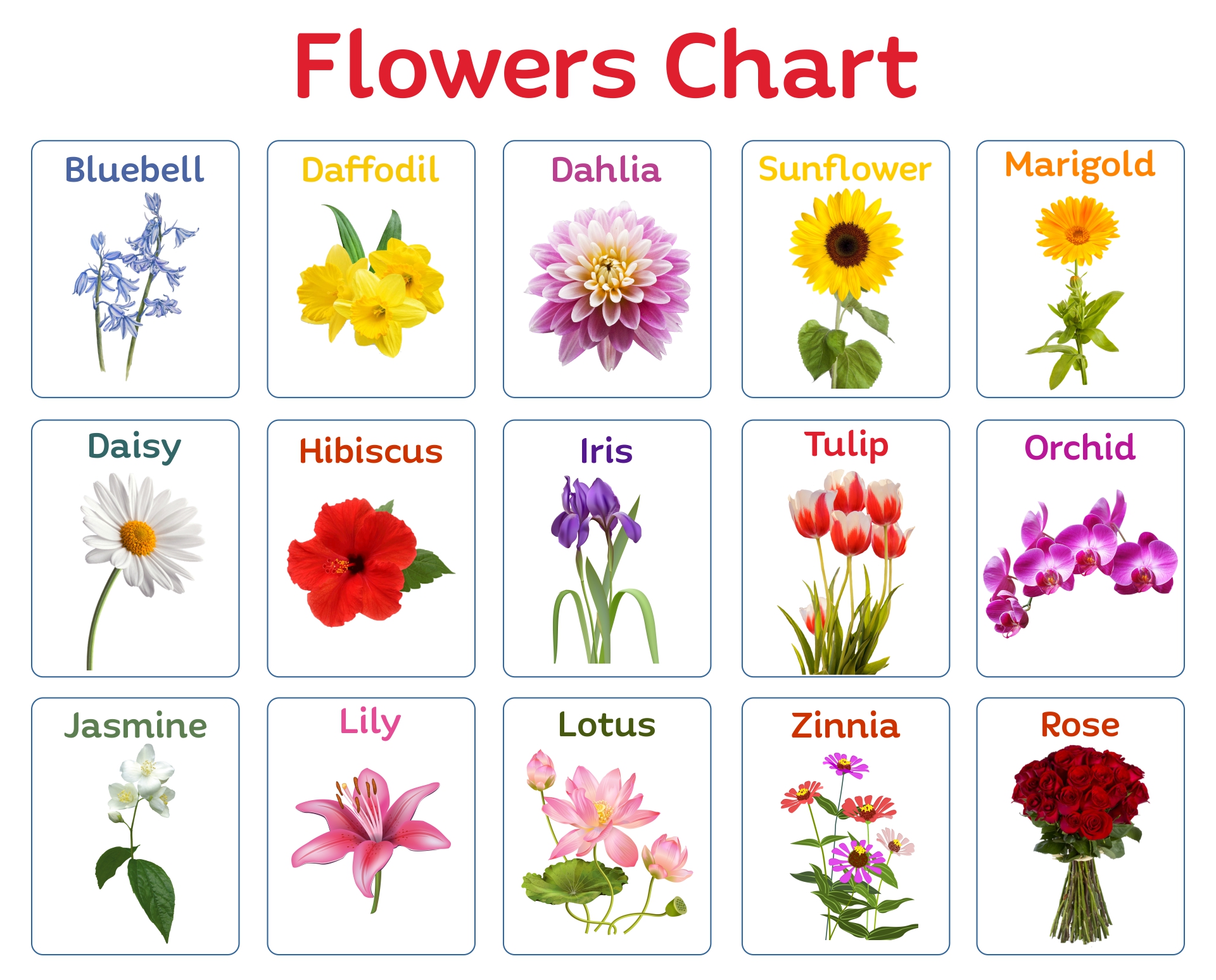 Printable Flowers Chart