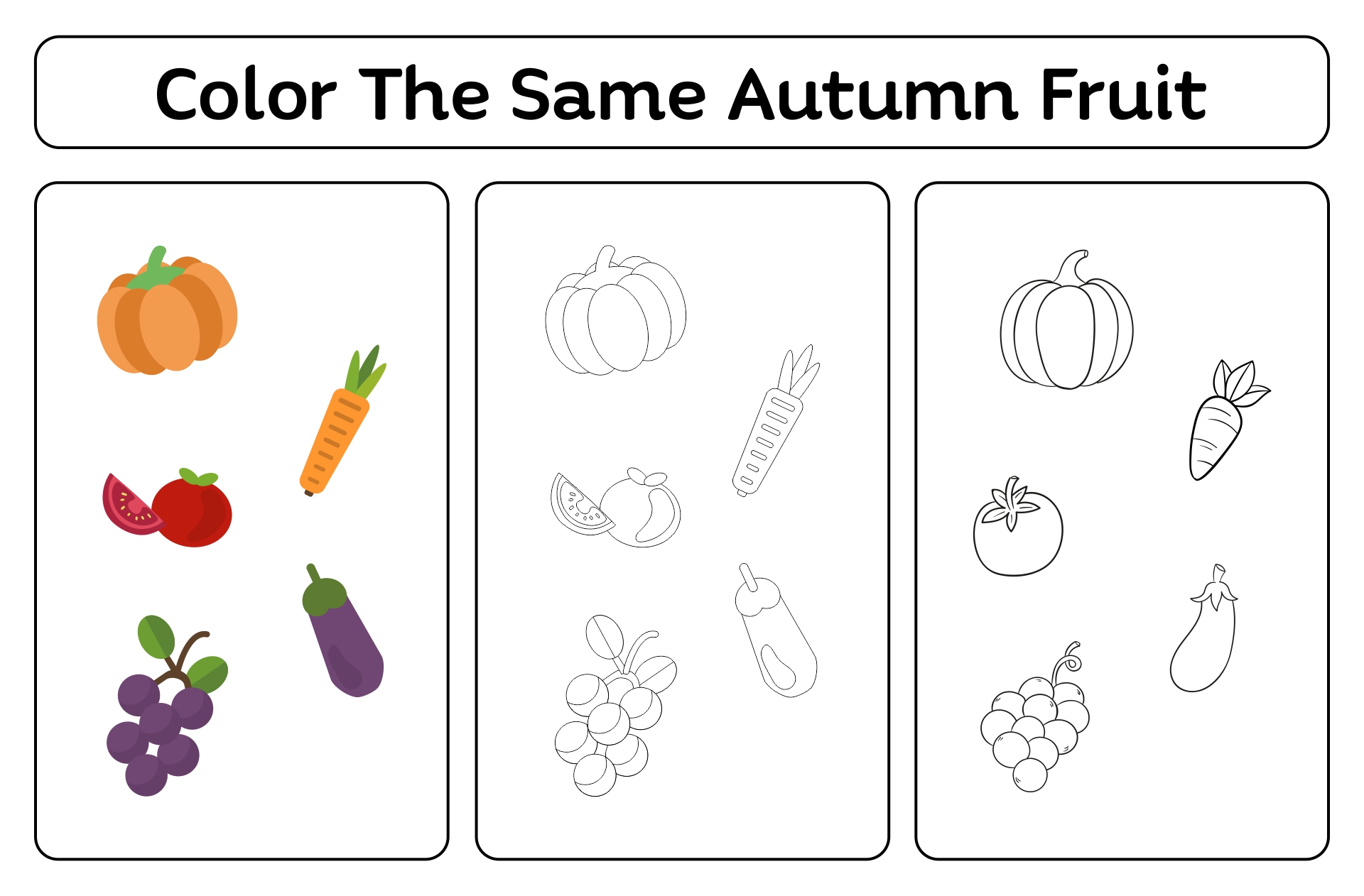Printable Fruits Worksheet Color The Same Autumn Fruit