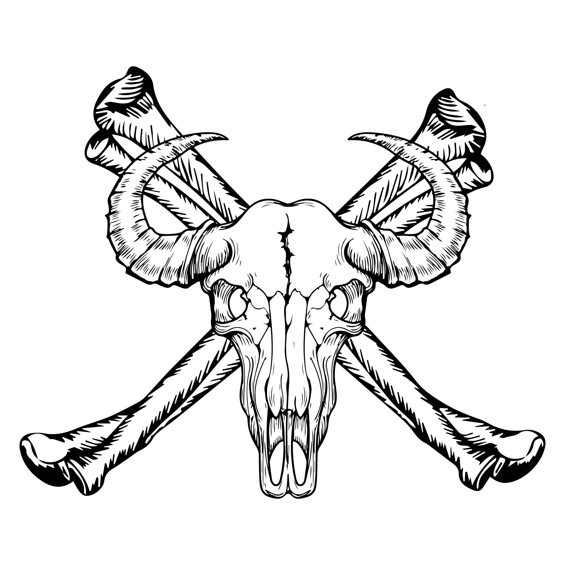 Printable Skull And Crossbone Coloring Page