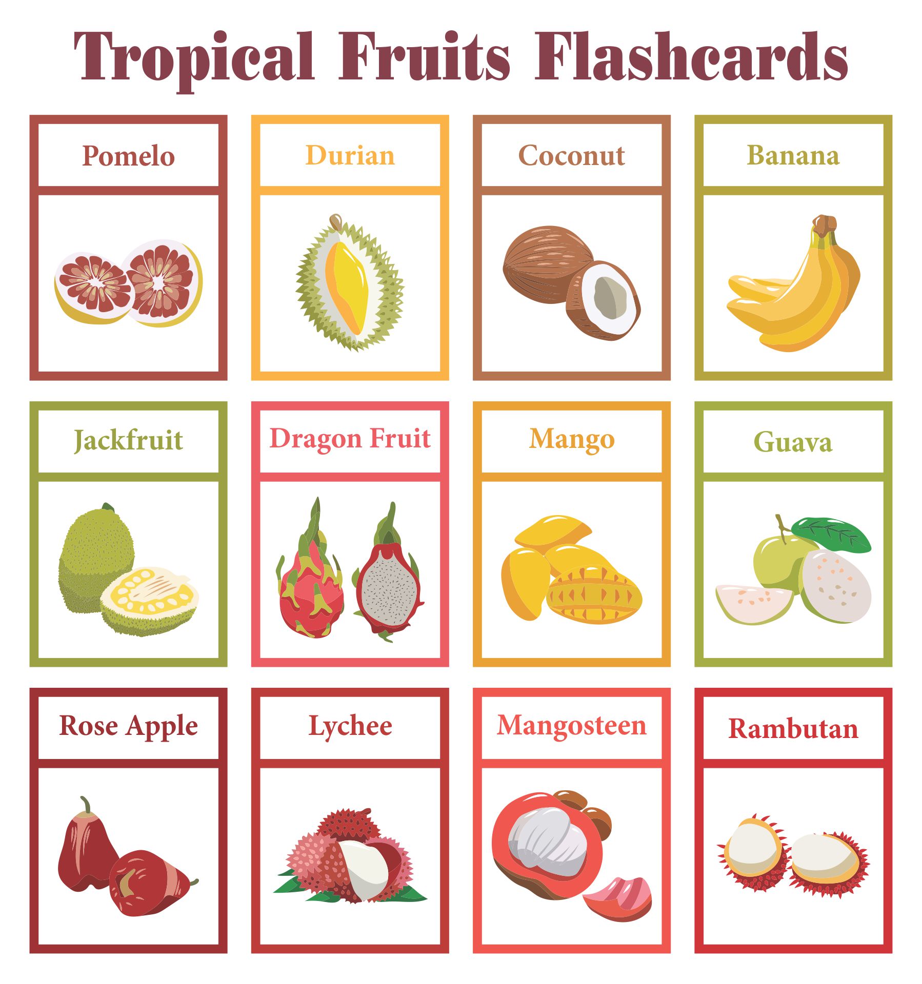 Printable Tropical Fruits Flashcards