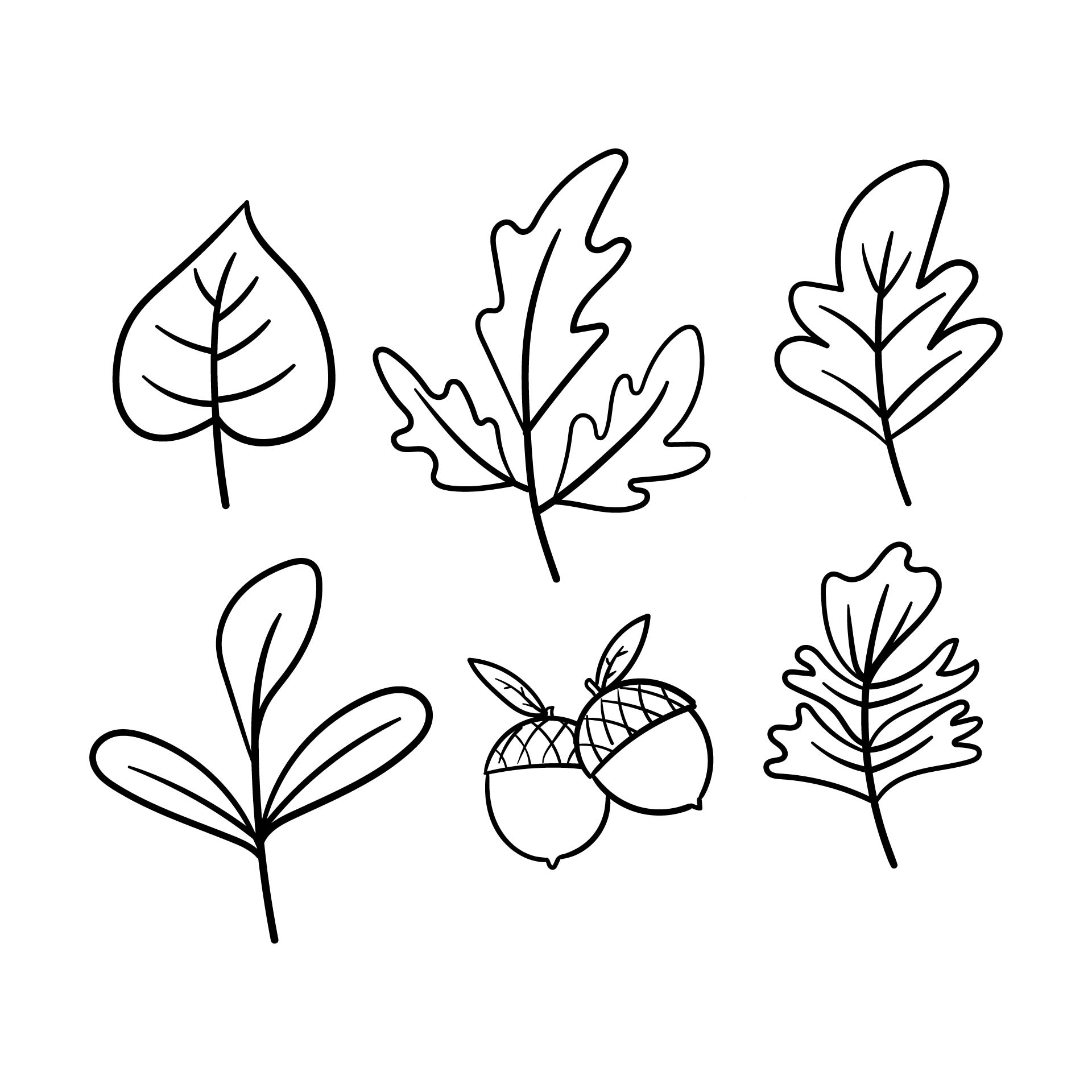 Printable Autumn Leaves Coloring Pages