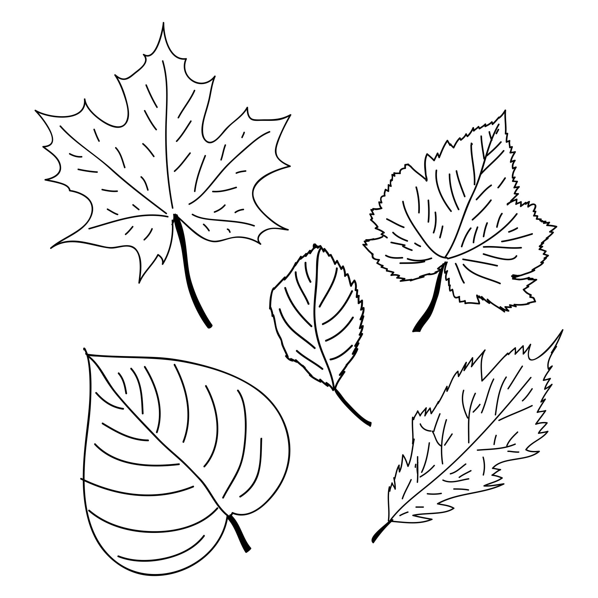 Fall Leaves Printable