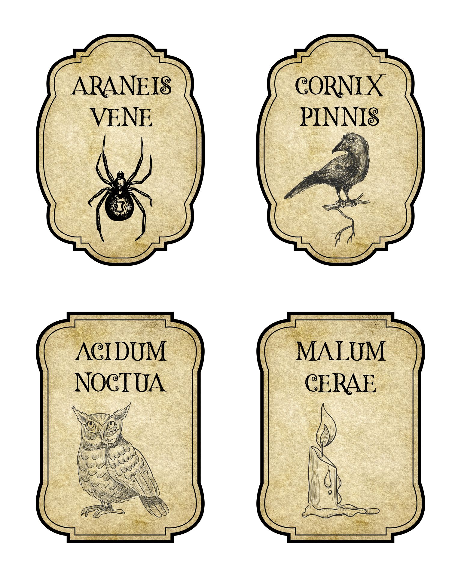Printable Latin Halloween Magic Apothecary Bottle Jar Labels