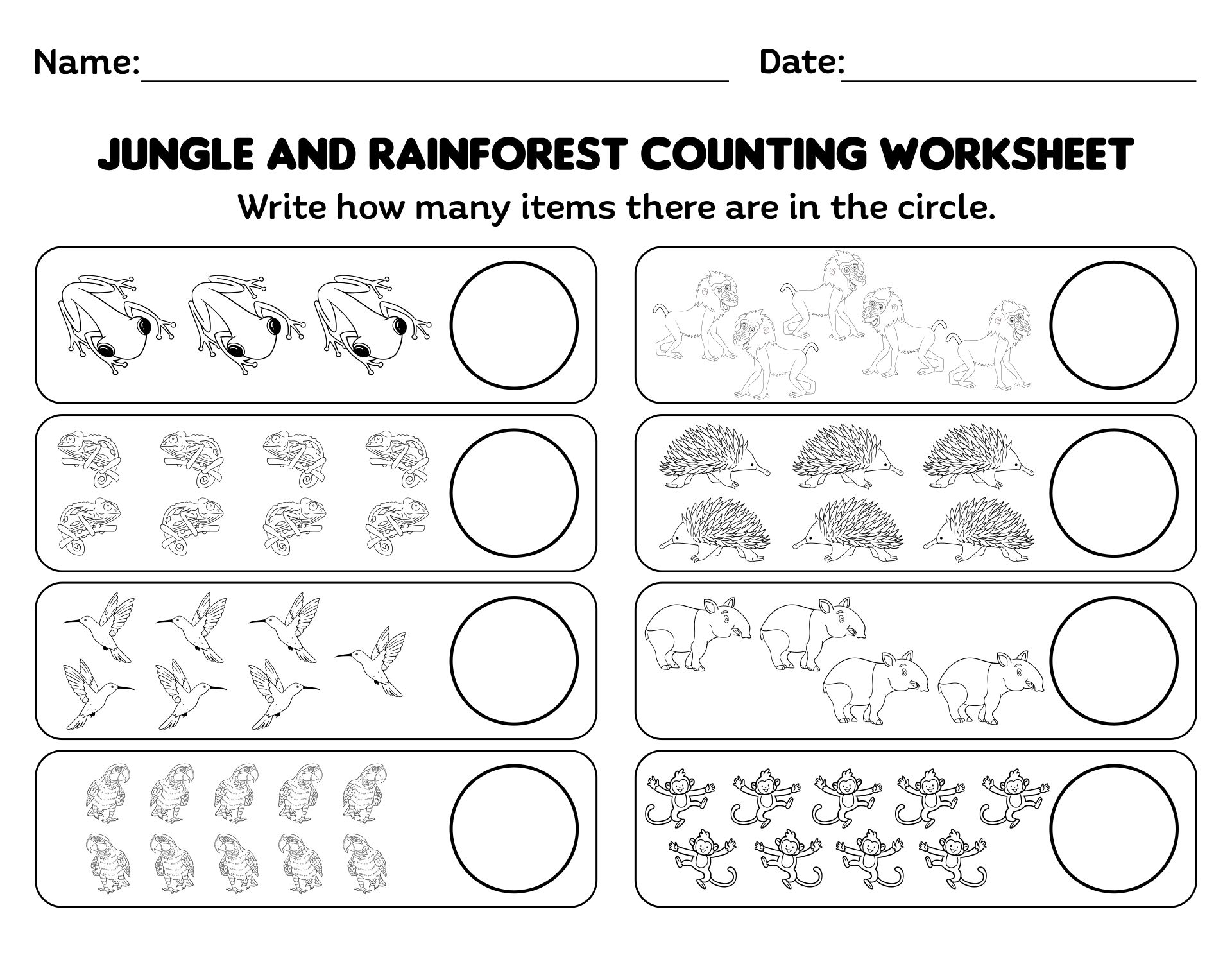 Jungle And Rainforest Printables Worksheet