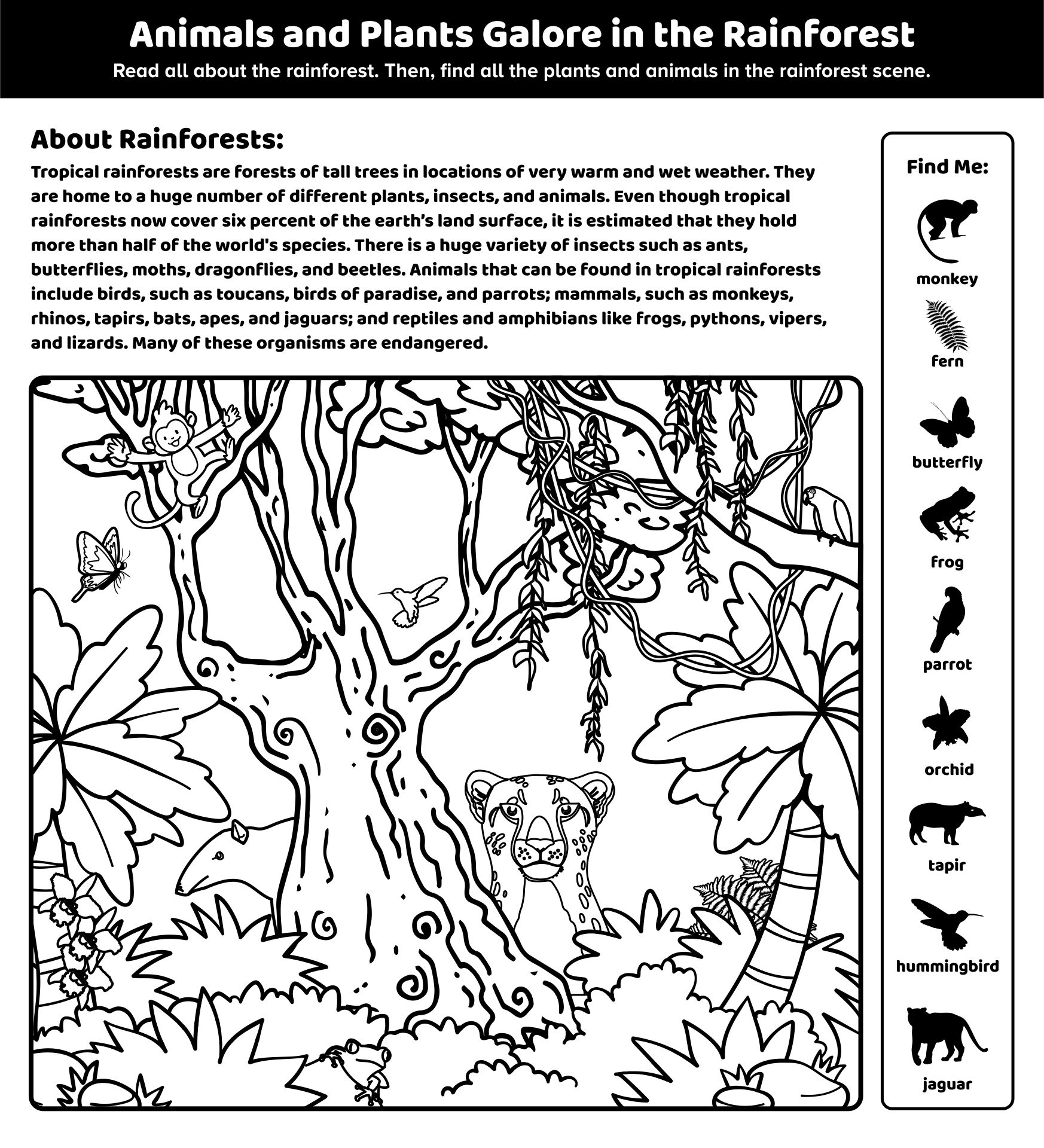 Rainforest Animals And Plants Galore Printable First Grade Worksheet