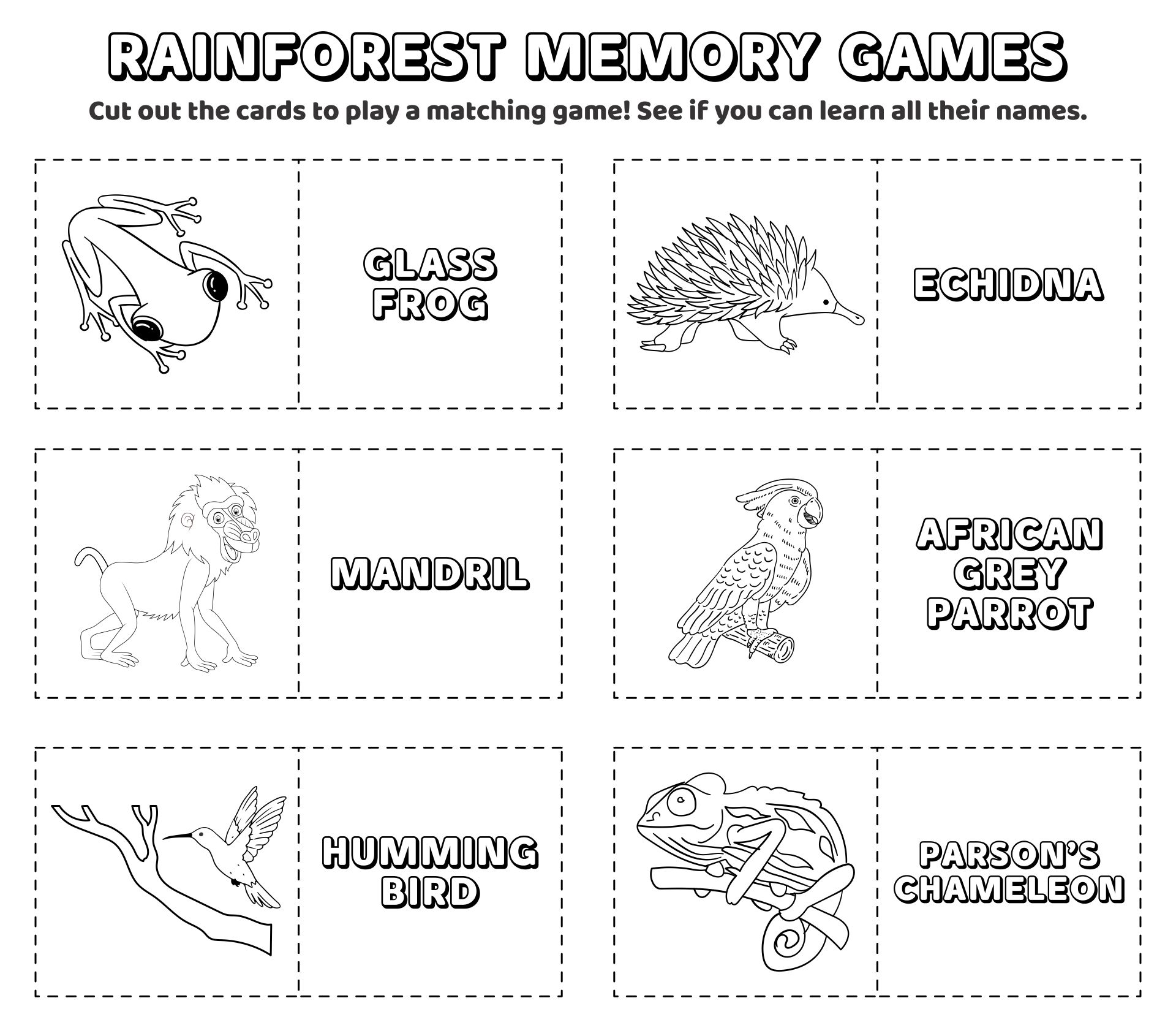 Rainforest Memory Games Worksheet Printables