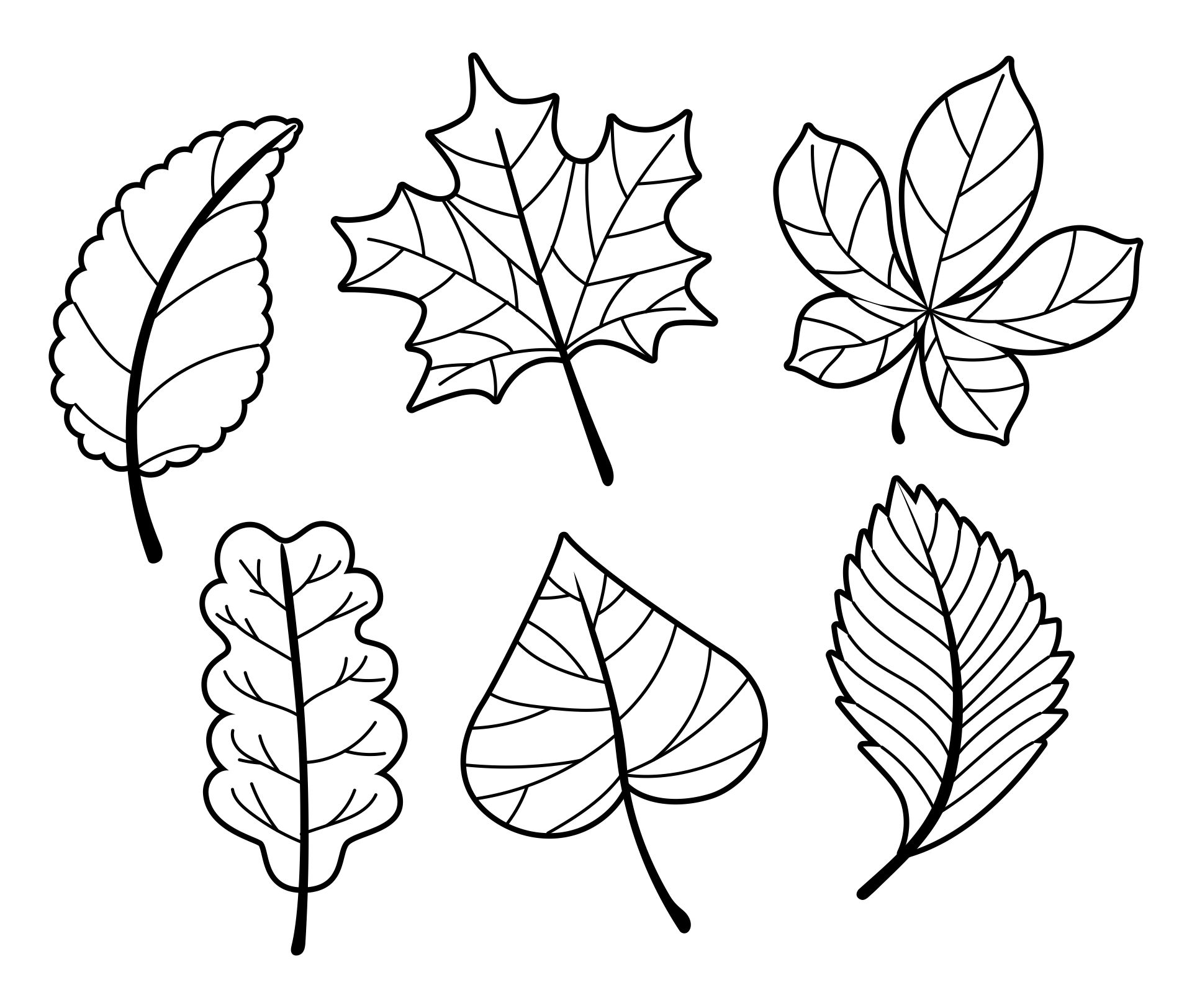 Printable Coloring Fall Leaves Clip Art