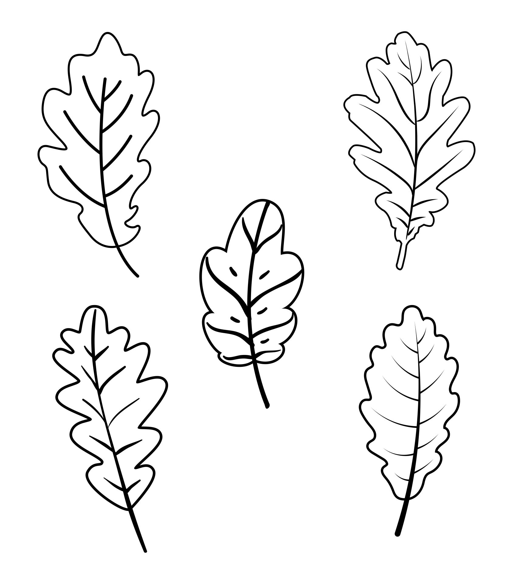 Printable Oak Fall Leaf Pattern