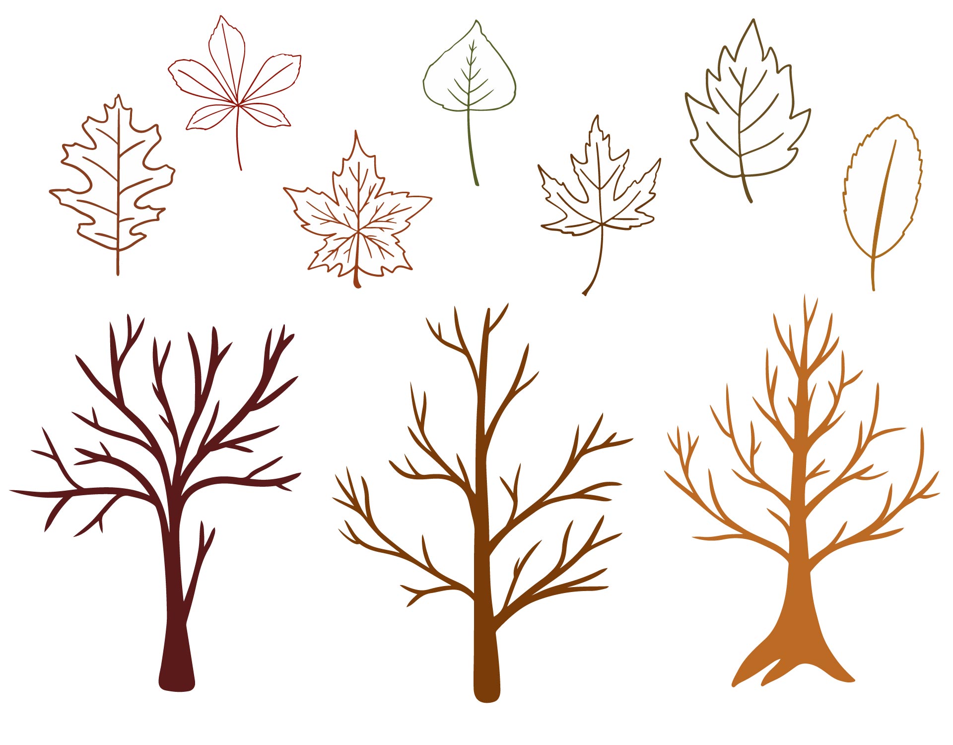 Printable Fall Leaf And Tree Templates