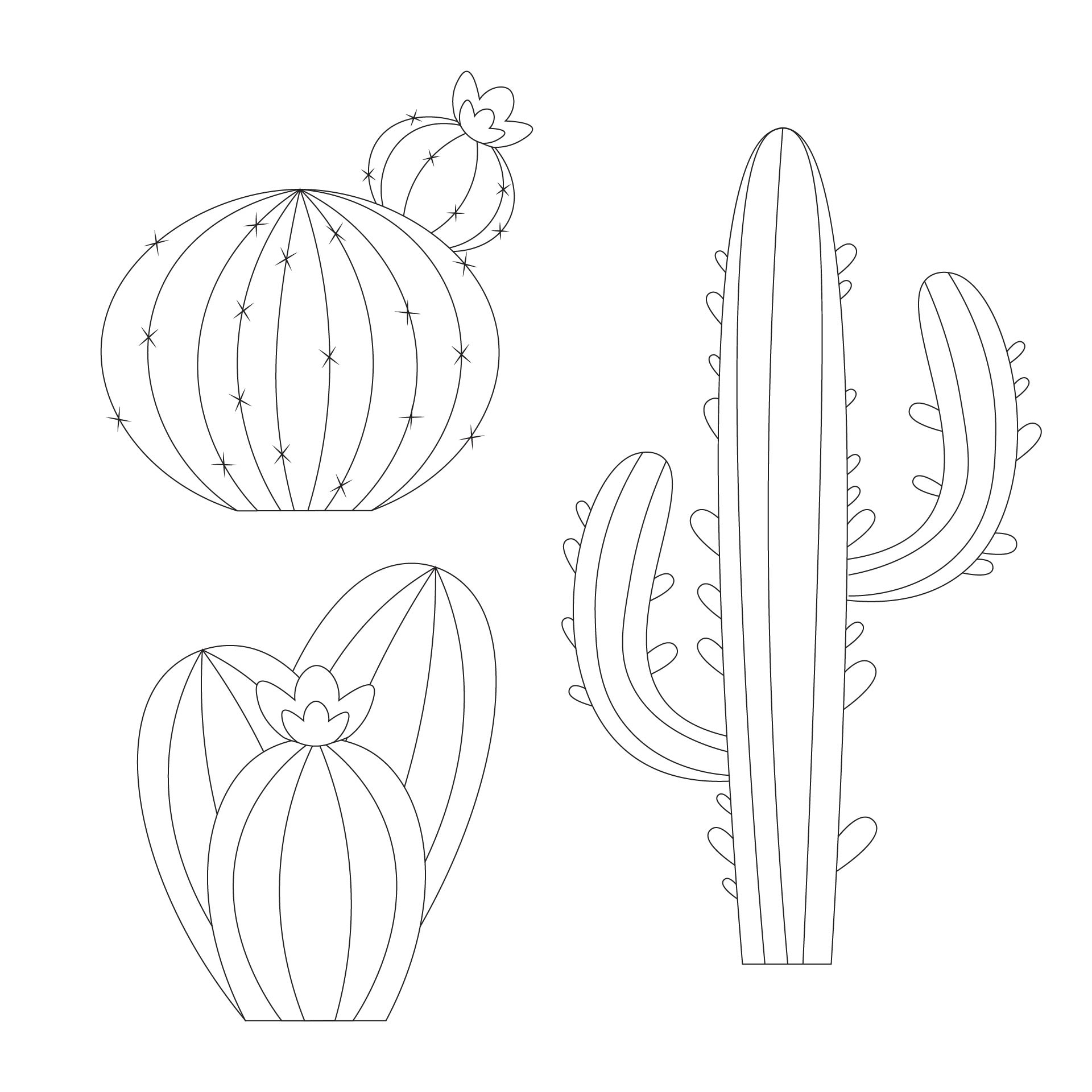 Cactus Outline Printable