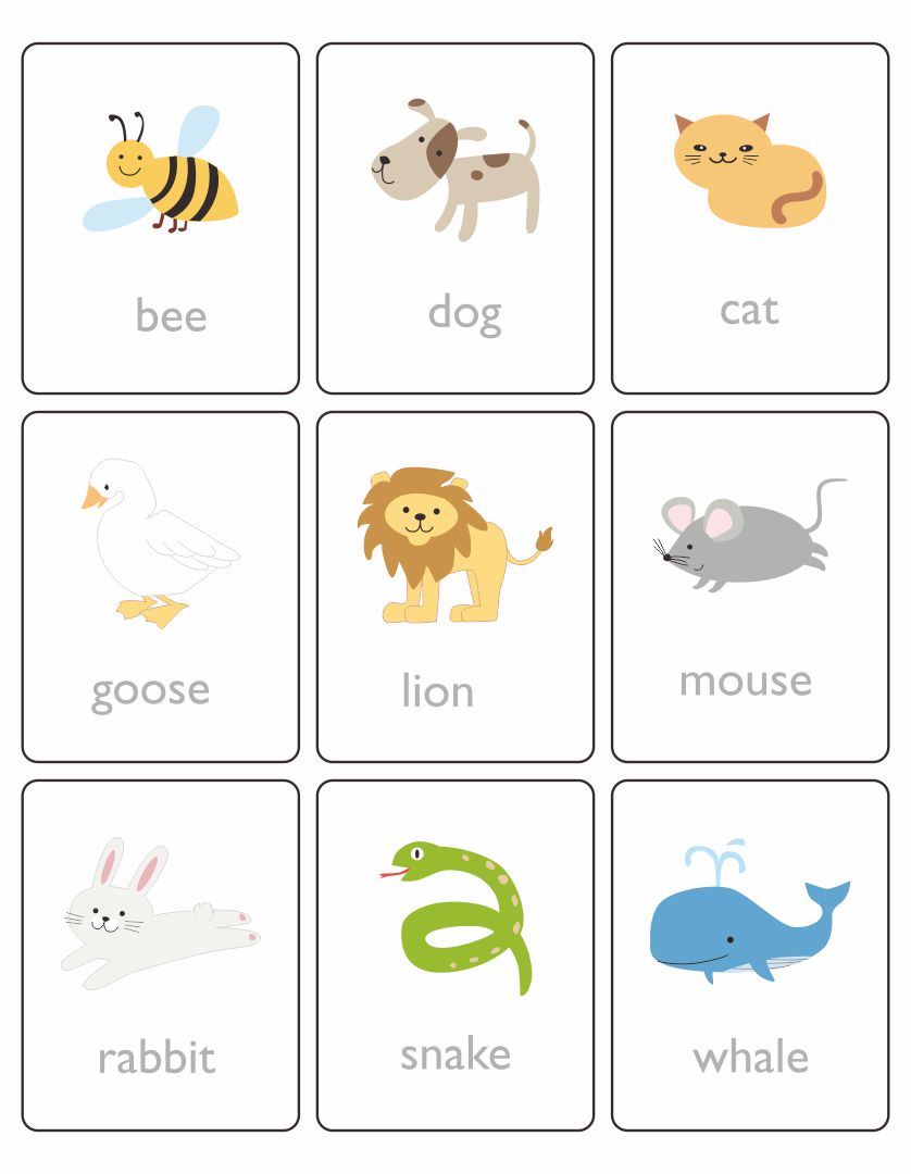 flashcards-for-toddlers-printable