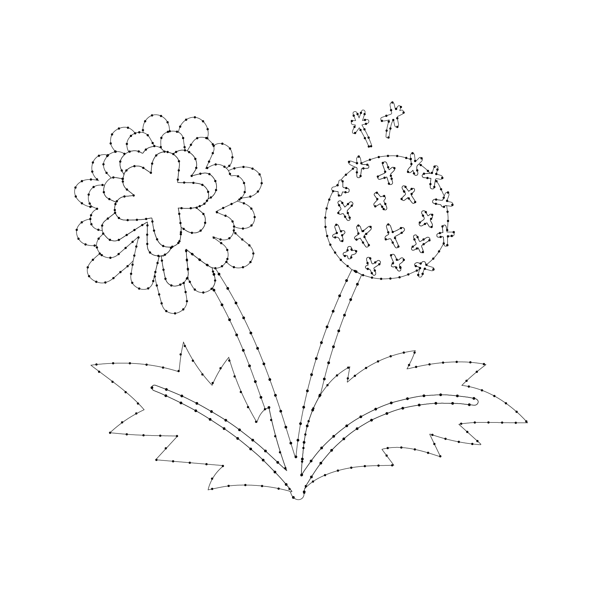Dandelion Printable String Art Patterns
