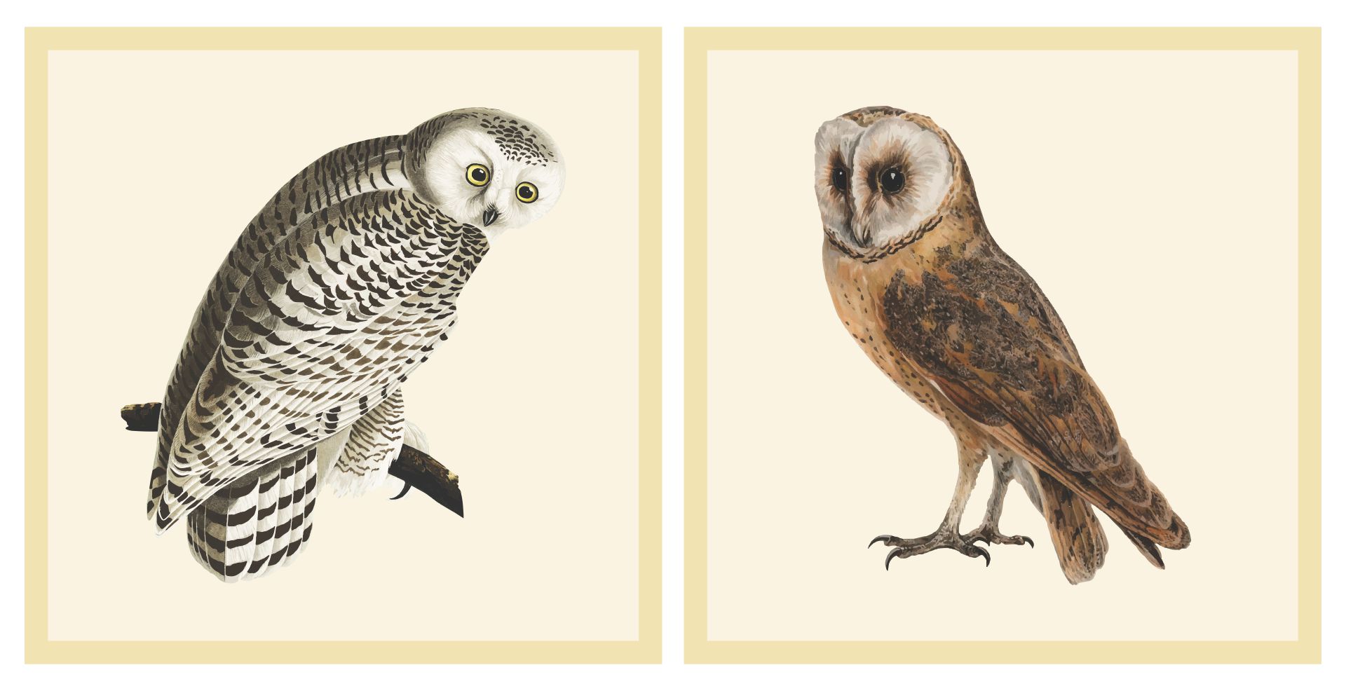 Printable Vintage Graphics Fairy Owl