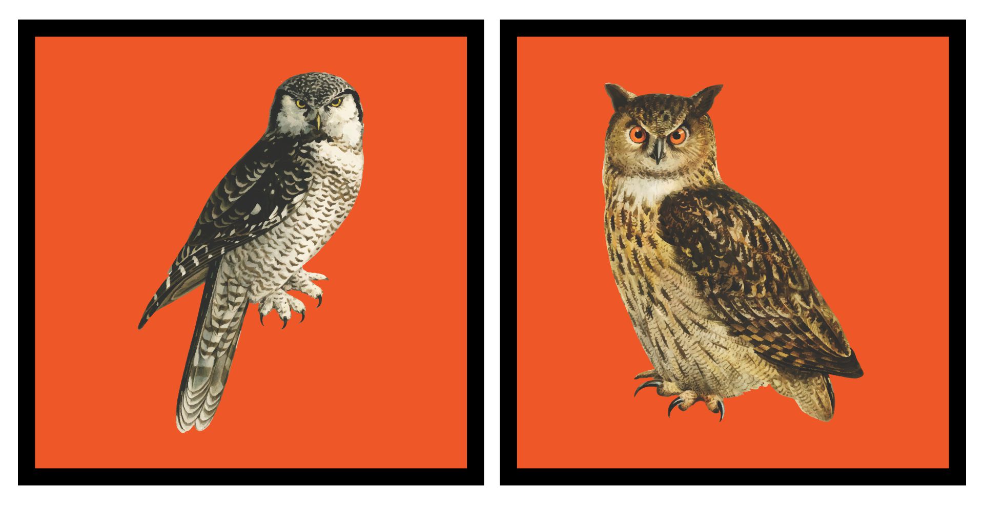7 Best Free Printable Vintage Halloween Owl