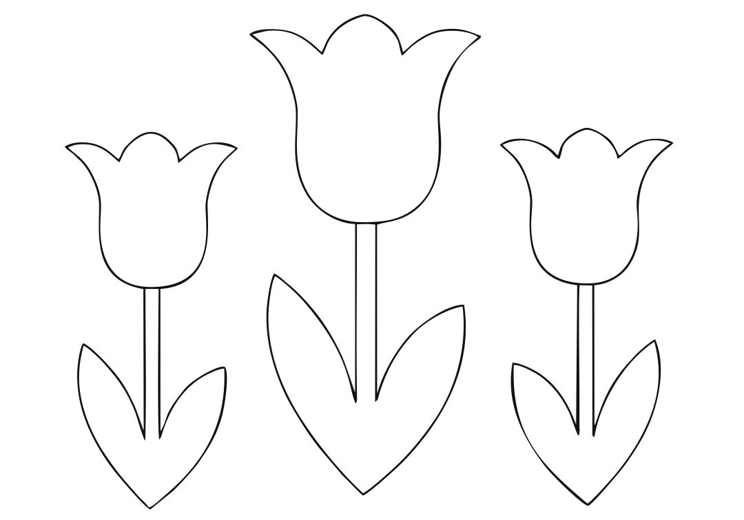 Printable Tulips Flower Coloring Pages