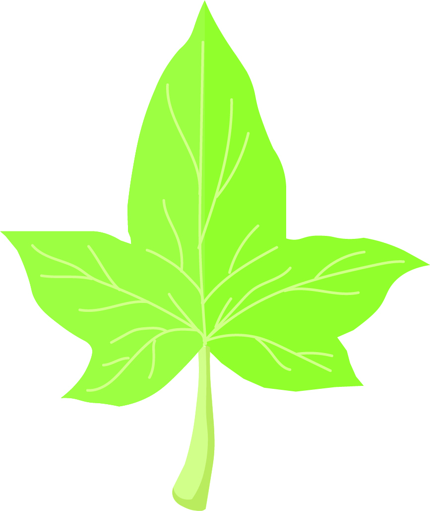 Ivy Leaf Clip Art