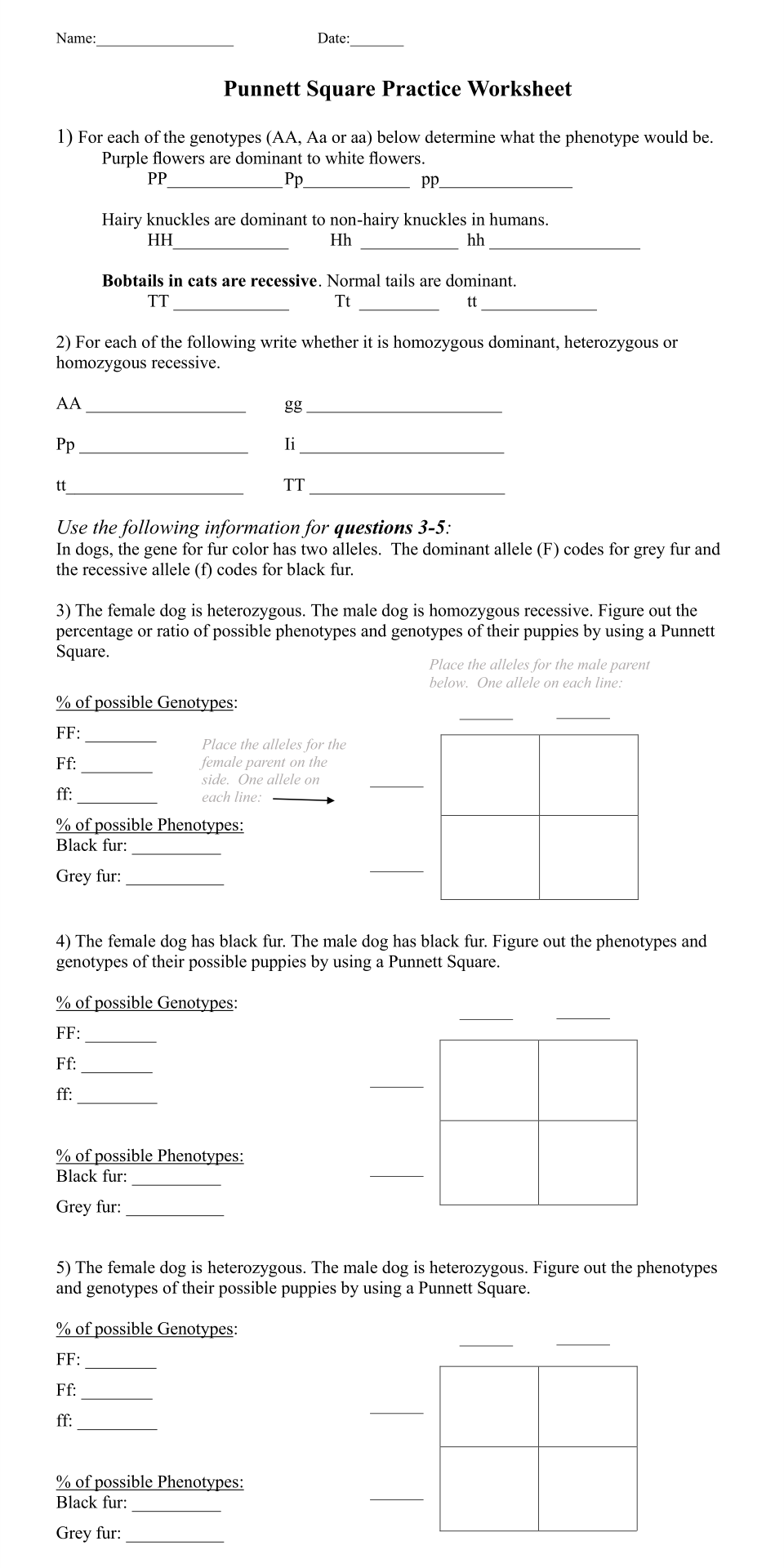 punnett-square-practice-worksheet-answers