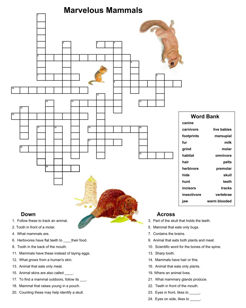Mammal Crossword Puzzle