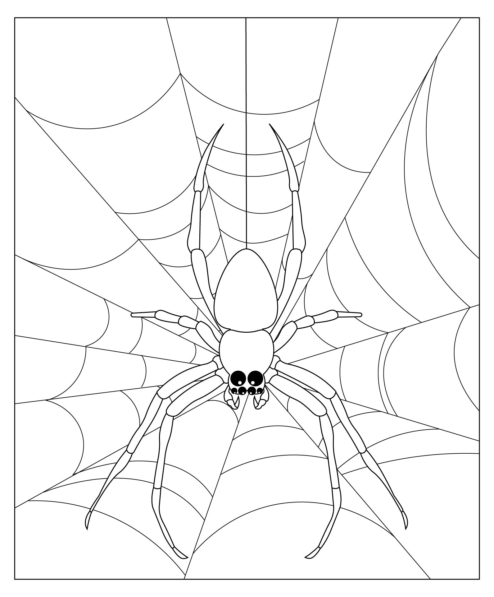 Very Busy Spider Coloring Page
