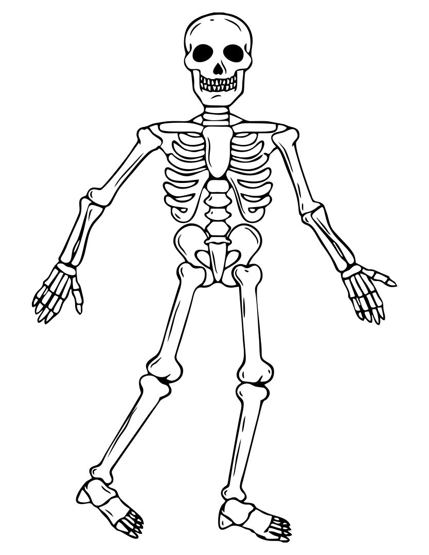 Halloween Skeleton Coloring Pages Printables
