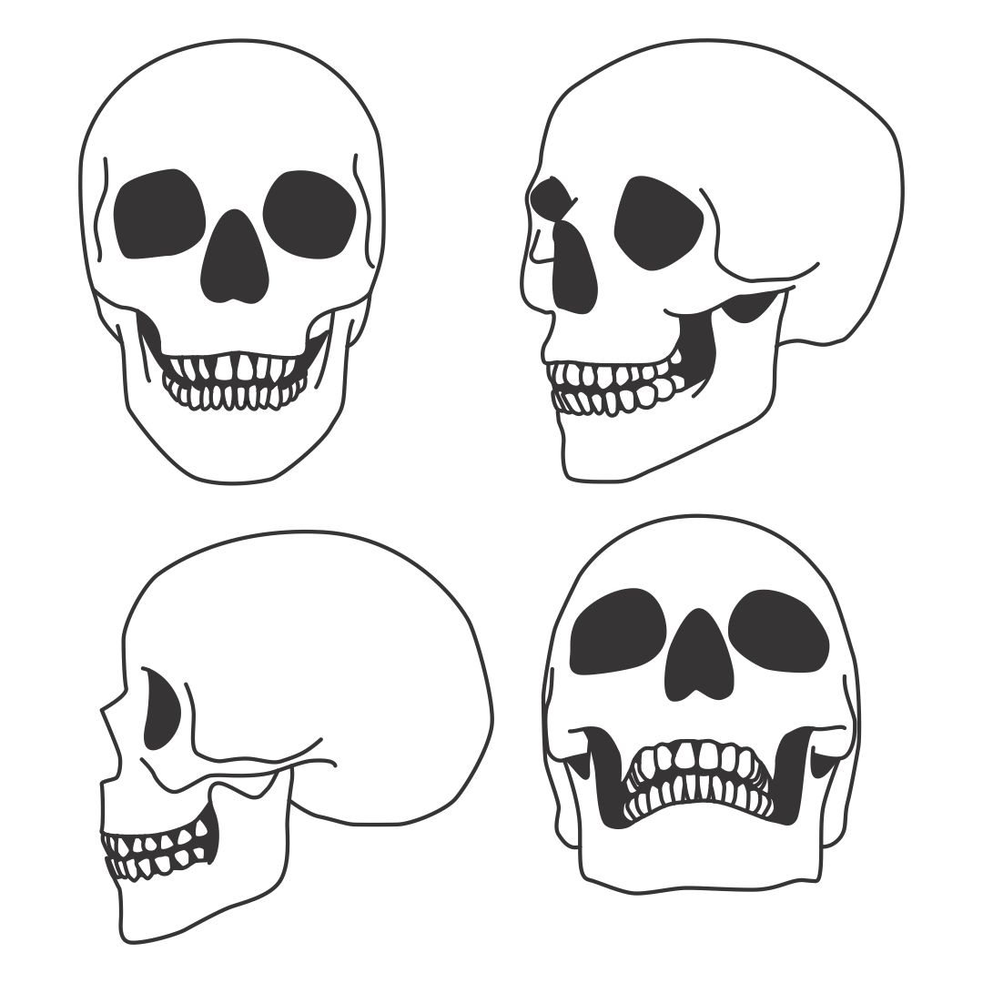 Halloween Skull Template