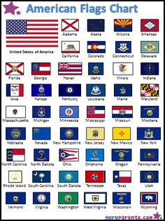 United States 50 Flags