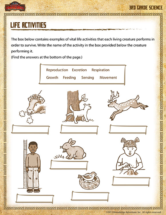 8 best images of 3rd grade science worksheets printable 3rd grade science printable worksheets 