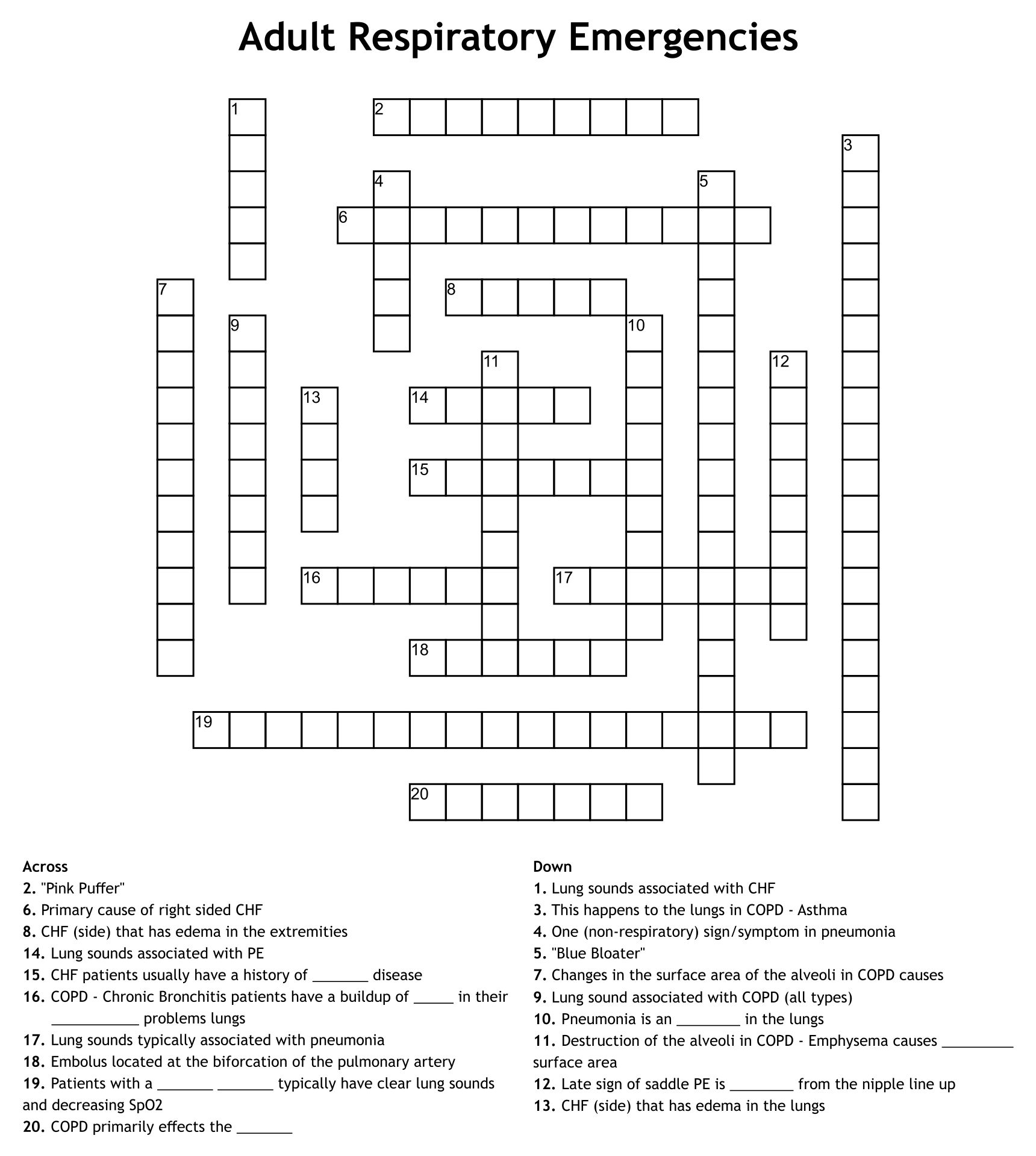 Printable Crossword Puzzles for Adults