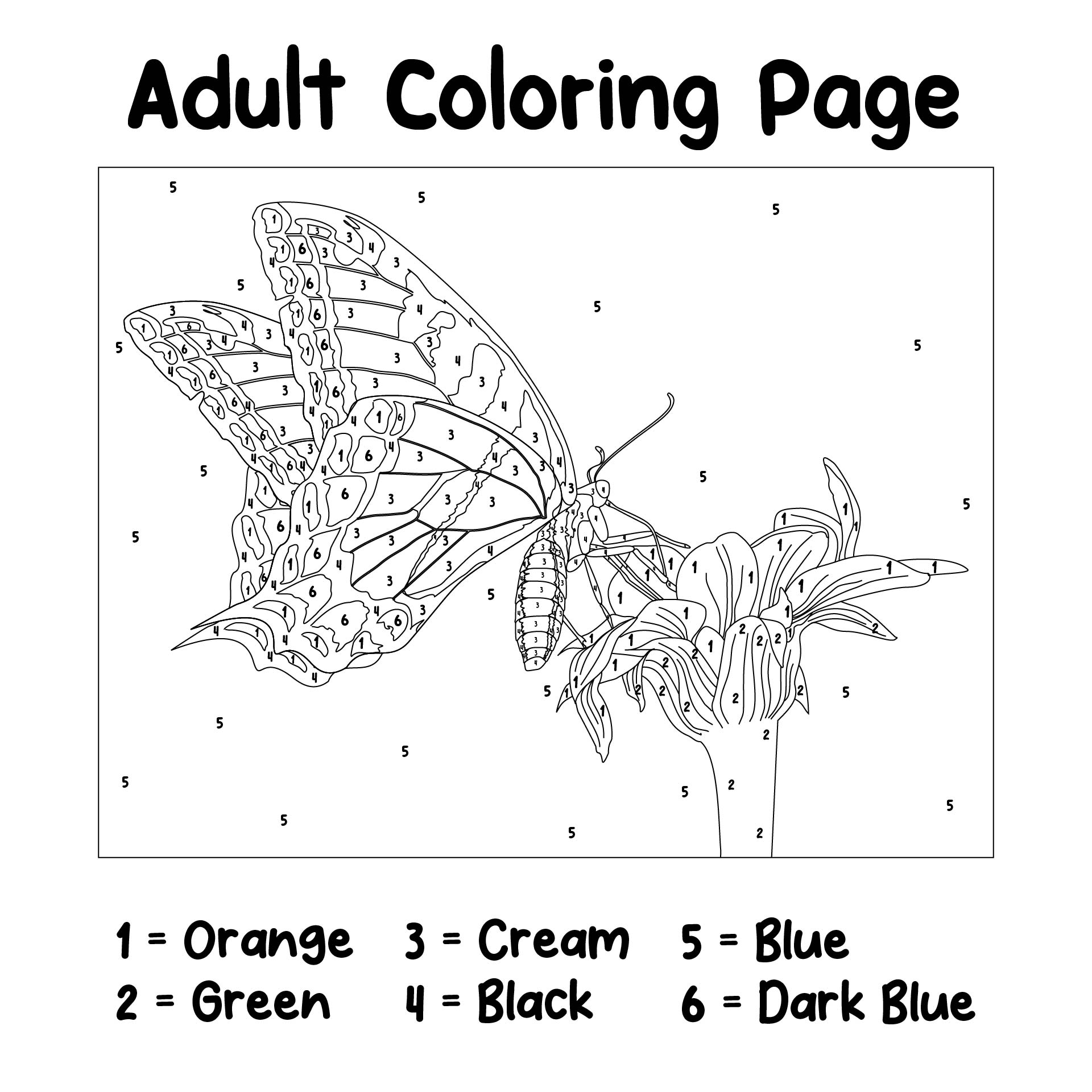 8 X 10 Printable Adult Coloring Pages